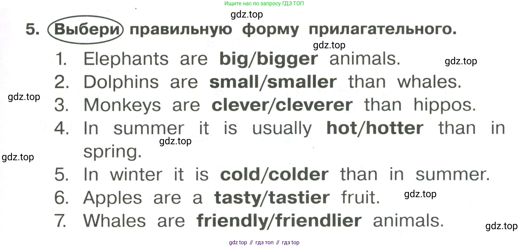 Английский язык (english), 4 класс Сборник упражнений, авторы: Быкова Надежда Ильинична (Bykova Nadezhda), Поспелова Марина Давидовна (Pospelova Marina), издательство Просвещение, Москва, 2023, оранжевого цвета, страница 69, номер 5, Условие