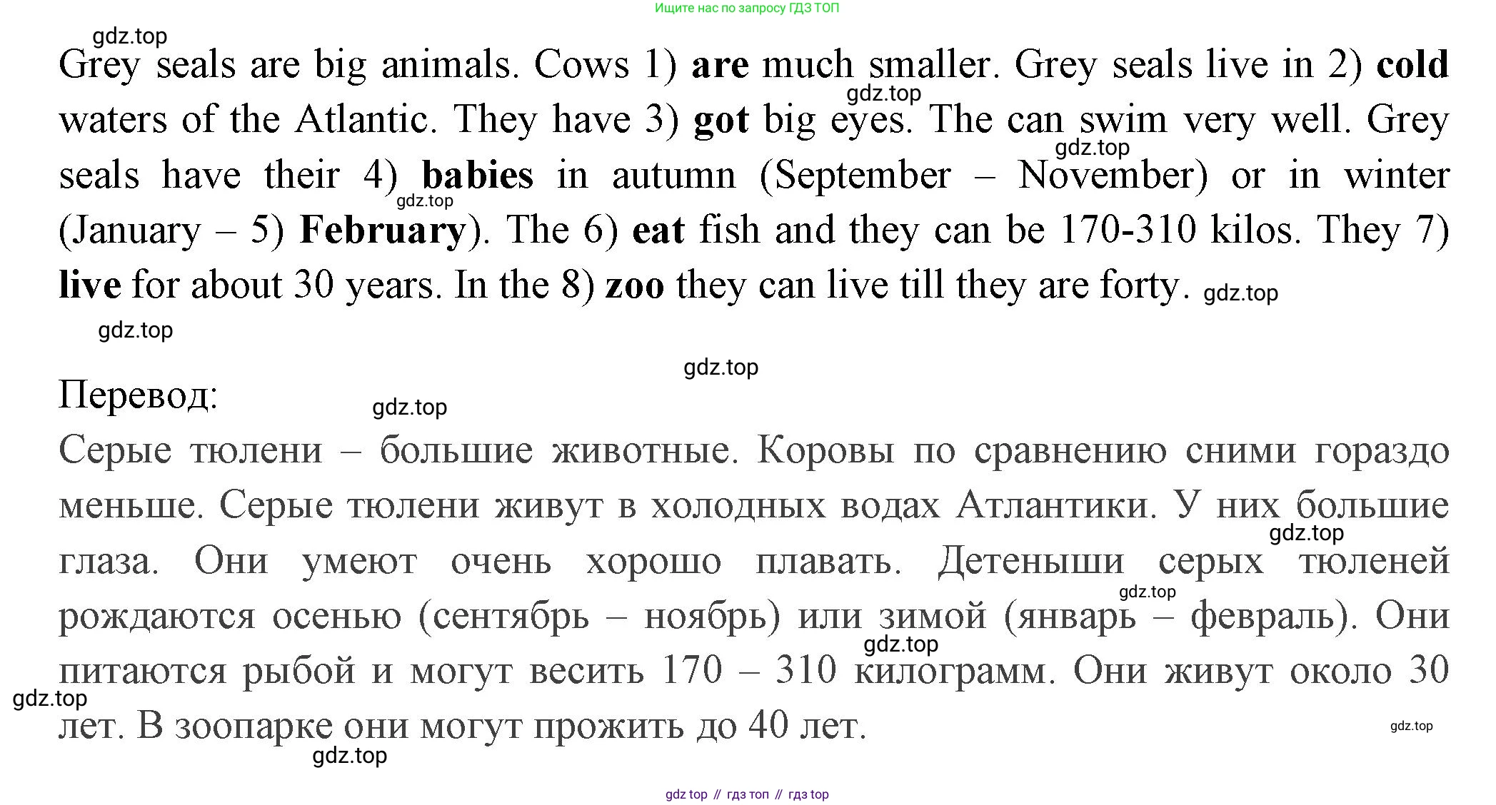 Английский язык (english), 4 класс Сборник упражнений, авторы: Быкова Надежда Ильинична (Bykova Nadezhda), Поспелова Марина Давидовна (Pospelova Marina), издательство Просвещение, Москва, 2023, оранжевого цвета, страница 73, номер 12, Решение 2 (продолжение 2)