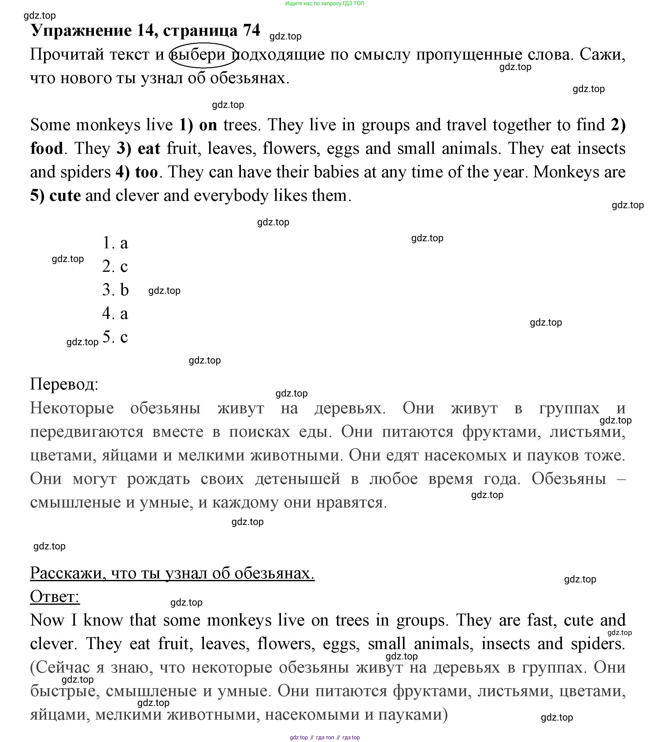 Английский язык (english), 4 класс Сборник упражнений, авторы: Быкова Надежда Ильинична (Bykova Nadezhda), Поспелова Марина Давидовна (Pospelova Marina), издательство Просвещение, Москва, 2023, оранжевого цвета, страница 74, номер 14, Решение 2