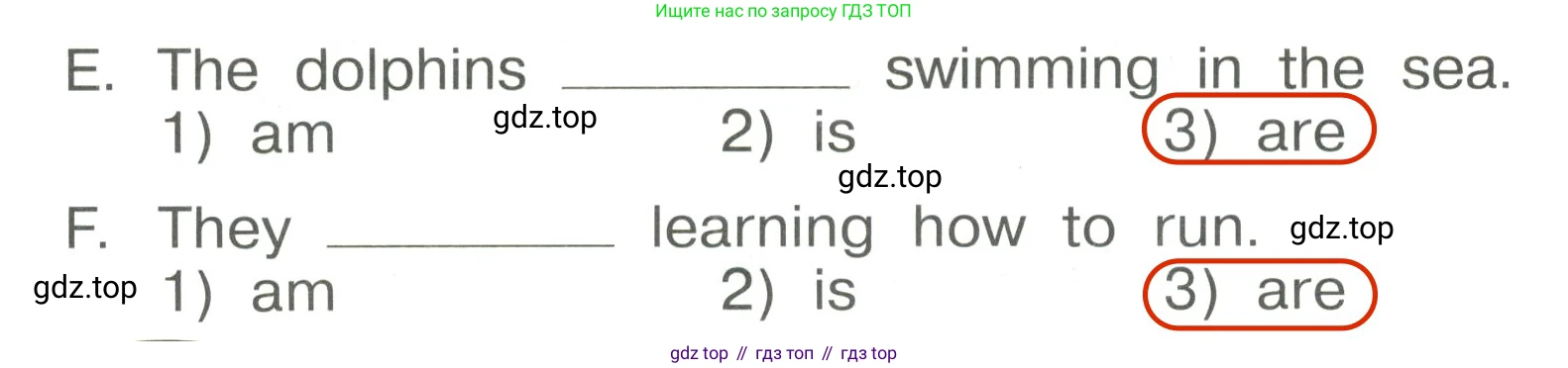 Английский язык (english), 4 класс Сборник упражнений, авторы: Быкова Надежда Ильинична (Bykova Nadezhda), Поспелова Марина Давидовна (Pospelova Marina), издательство Просвещение, Москва, 2023, оранжевого цвета, страница 63, номер 4, Решение 3 (продолжение 2)
