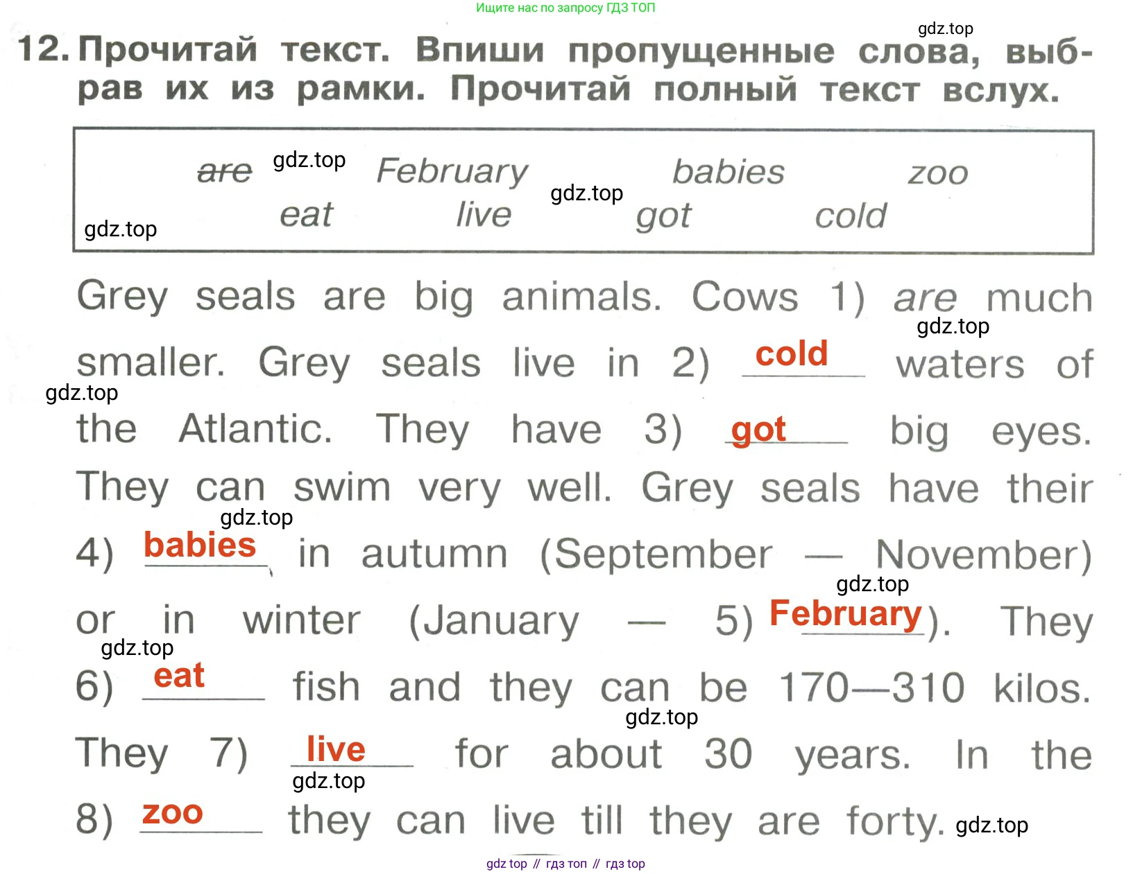 Английский язык (english), 4 класс Сборник упражнений, авторы: Быкова Надежда Ильинична (Bykova Nadezhda), Поспелова Марина Давидовна (Pospelova Marina), издательство Просвещение, Москва, 2023, оранжевого цвета, страница 73, номер 12, Решение 3