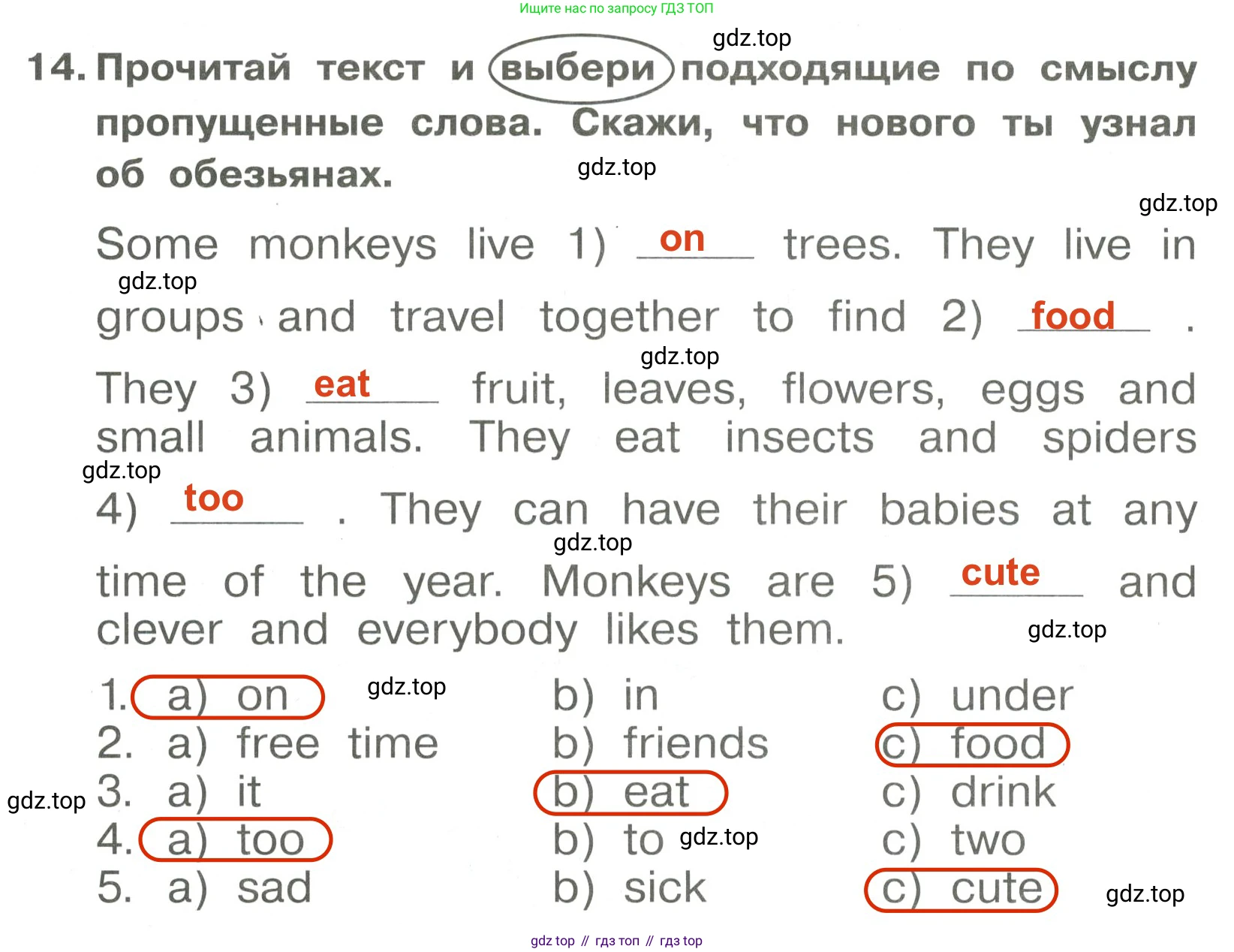 Английский язык (english), 4 класс Сборник упражнений, авторы: Быкова Надежда Ильинична (Bykova Nadezhda), Поспелова Марина Давидовна (Pospelova Marina), издательство Просвещение, Москва, 2023, оранжевого цвета, страница 74, номер 14, Решение 3