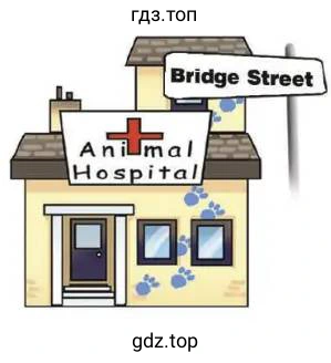 Bridge Street Animal Hospital