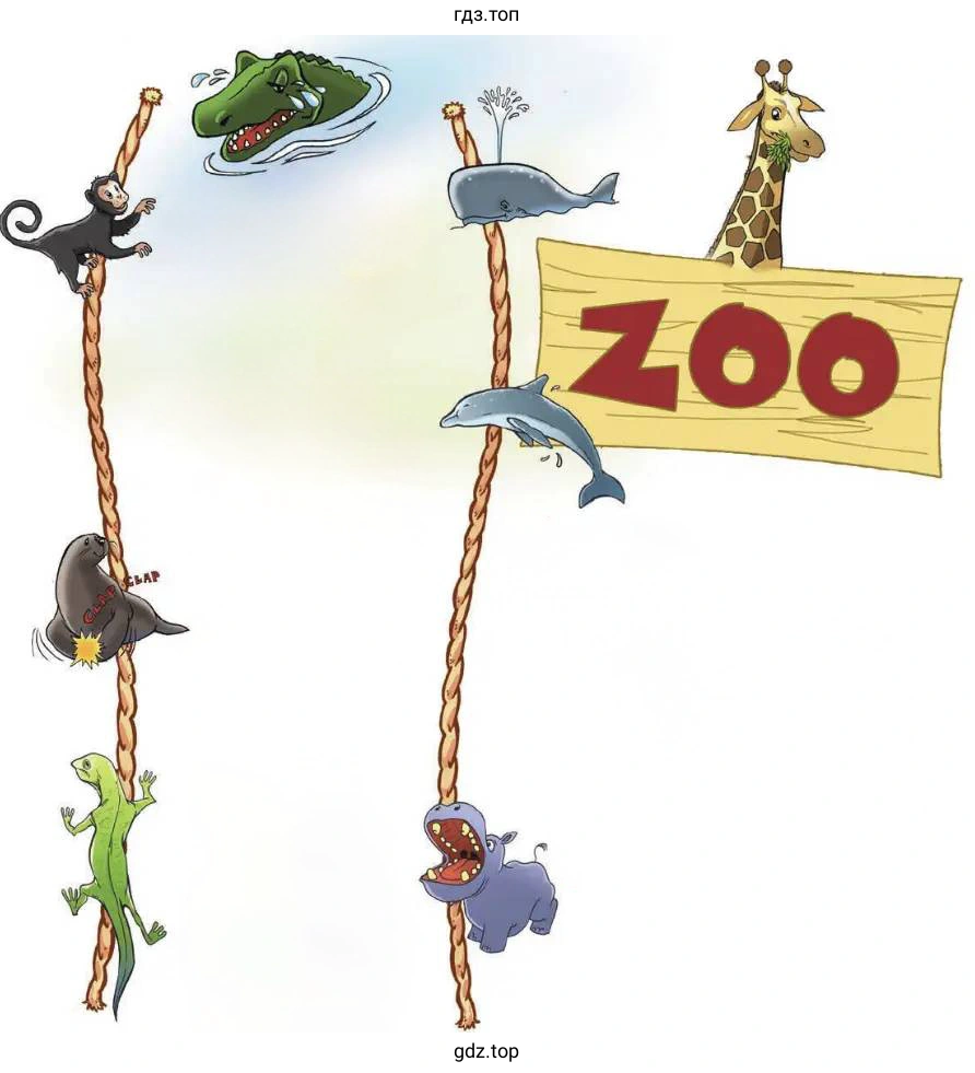 ZOO