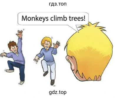 Monkeys climb trees!