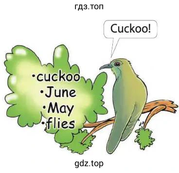 Cuckoo! •cuckoo •June •May •flies