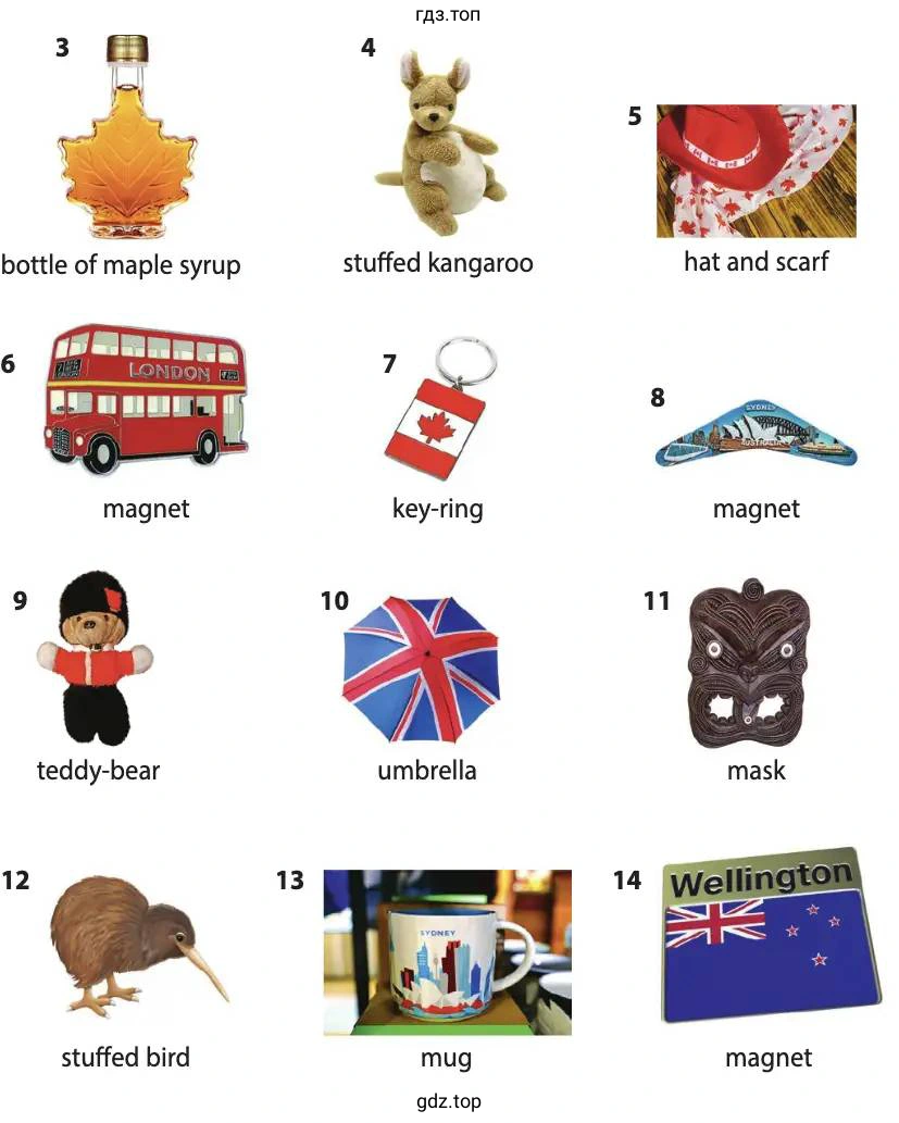 bottle of maple syrup stuffed kangaroo hat and scarf magnet key-ring magnet teddy-bear umbrella mask stuffed bird mug magnet
