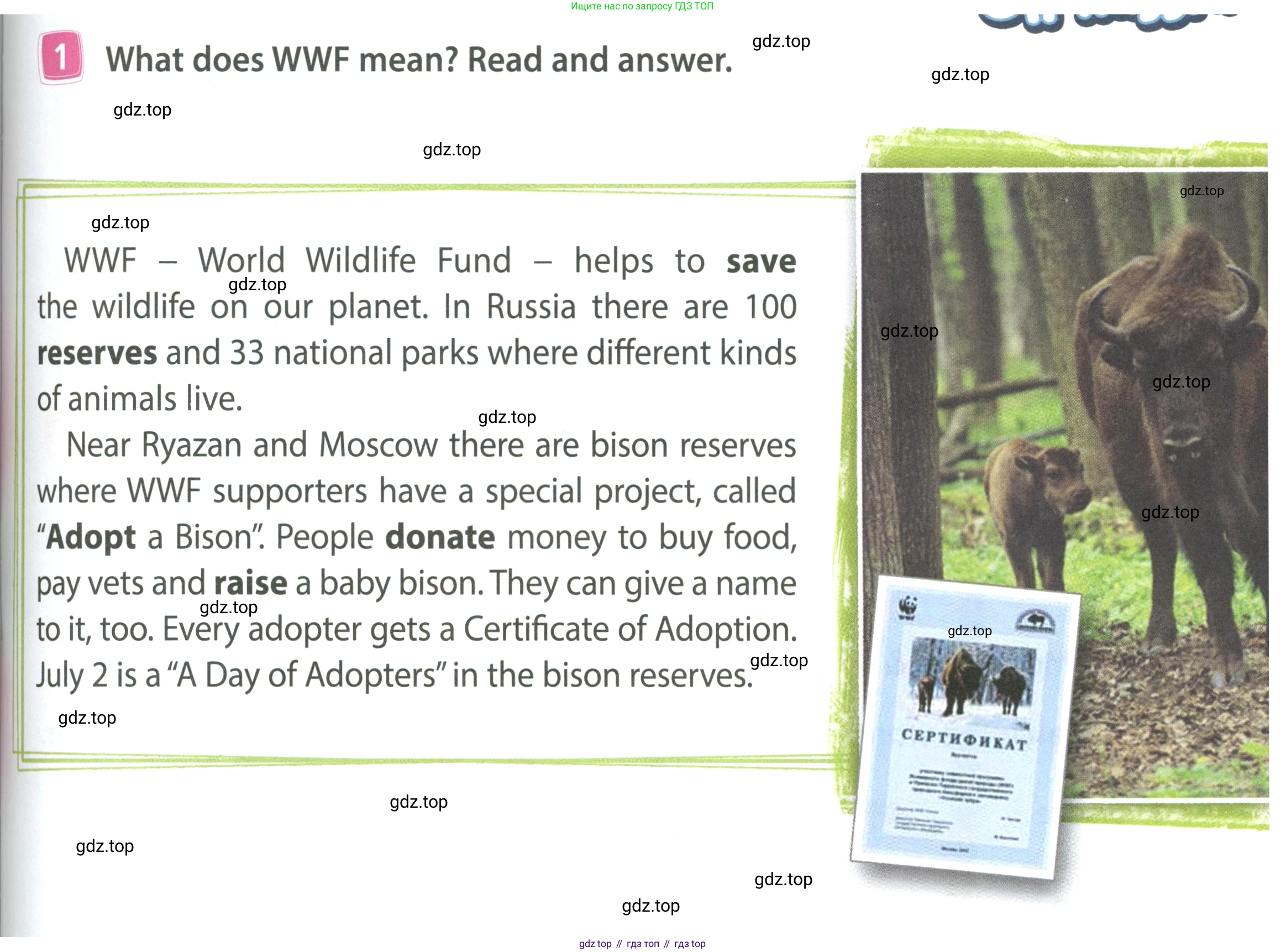 ГДЗ Английский язык (english), 4 класс Учебник (Student's book), авторы: Быкова Надежда Ильинична (Bykova Nadezhda), Дули Дженни (Dooley Jenny), Поспелова Марина Давидовна (Pospelova Marina), Эванс Вирджиния (Evans Virginia), издательство Просвещение, Москва, 2023, белого цвета, Часть ( Part) 1, страница 81, номер 1, Условие