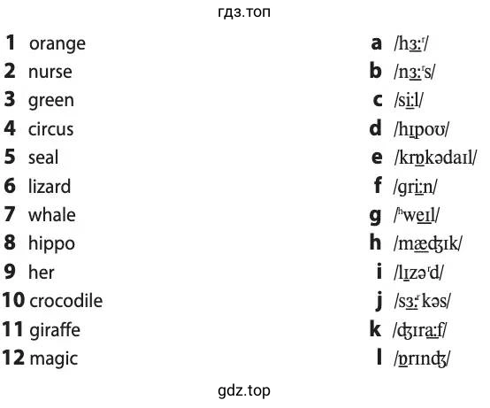 1 orange 2 nurse 3 green 4 circus 5 seal 6 lizard 7 whale 8 hippo 9 her 10 crocodile 11 giraffe 12 magic