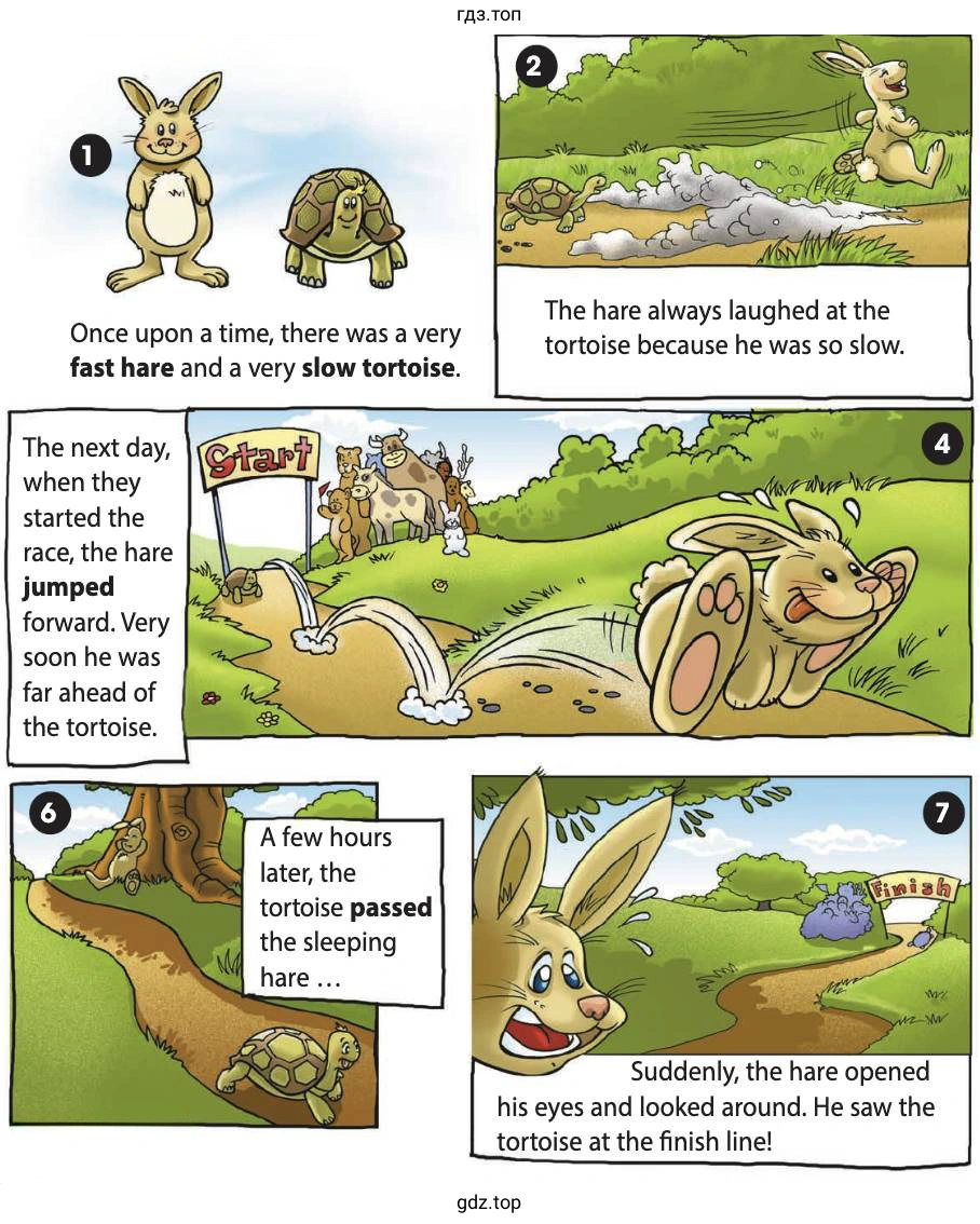 Once upon a time, there was a very fast hare and a very slow tortoise.