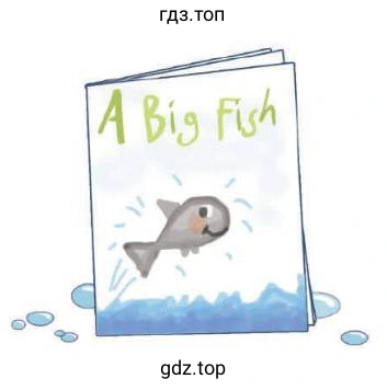 A big fish