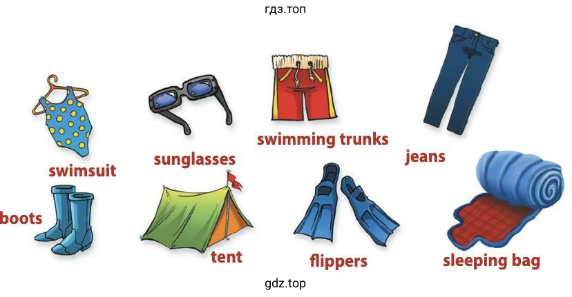 boots swimsuit sunglasses tent swimming trunks flippers jeans sleeping bag
