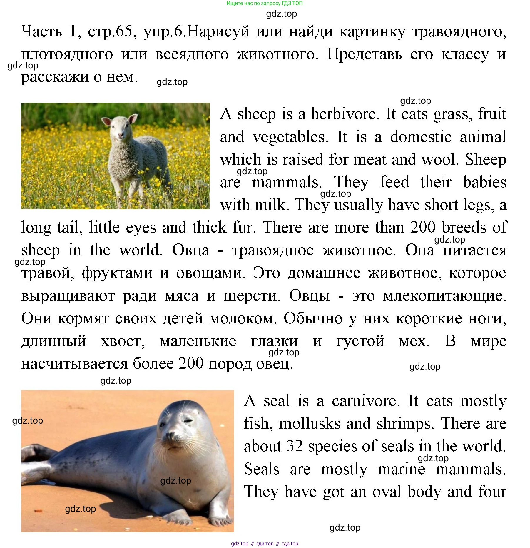 ГДЗ Английский язык (english), 4 класс Учебник (Student's book), авторы: Быкова Надежда Ильинична (Bykova Nadezhda), Дули Дженни (Dooley Jenny), Поспелова Марина Давидовна (Pospelova Marina), Эванс Вирджиния (Evans Virginia), издательство Просвещение, Москва, 2023, белого цвета, Часть ( Part) 1, страница 65, номер 6, Решение 1