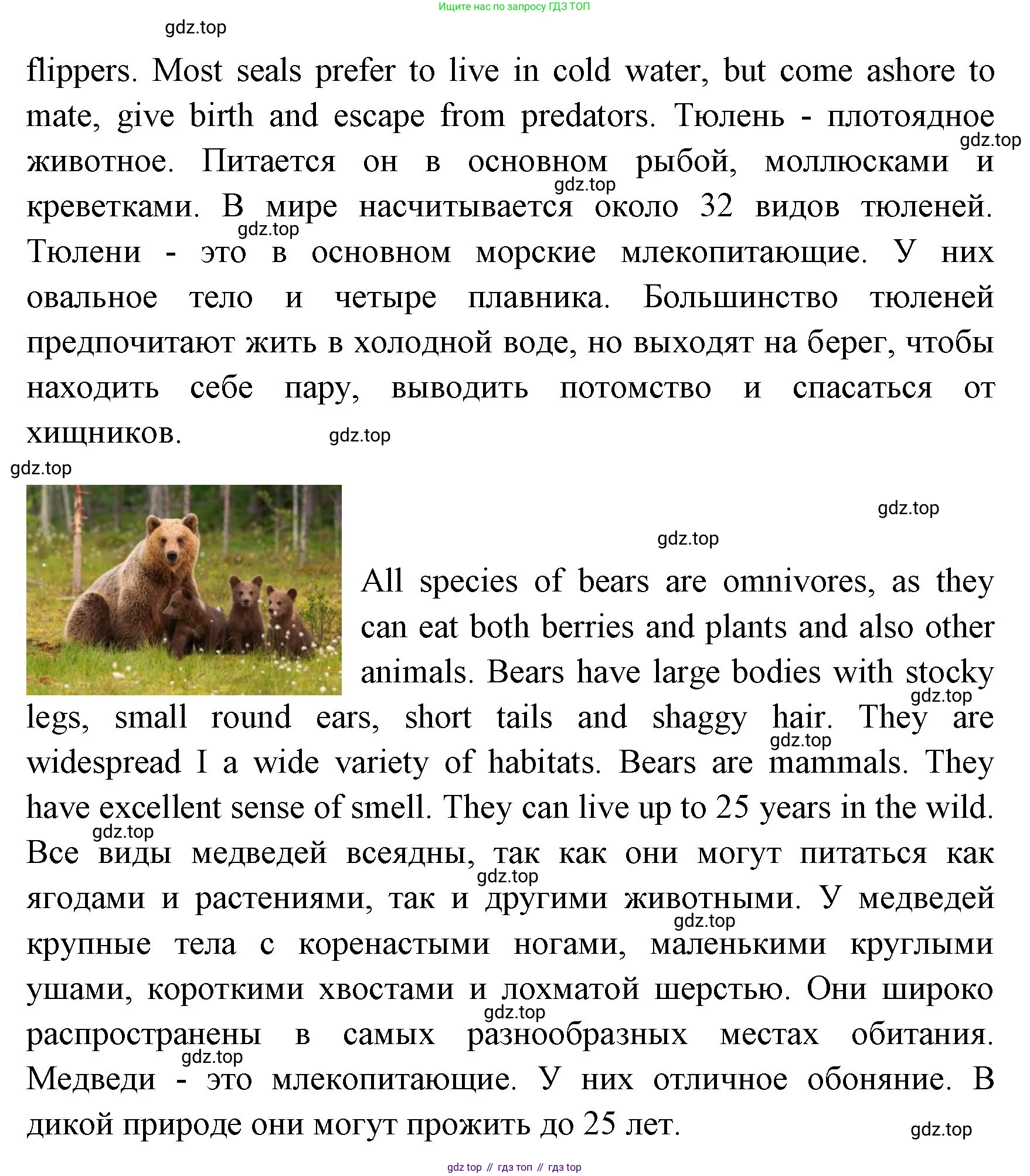 ГДЗ Английский язык (english), 4 класс Учебник (Student's book), авторы: Быкова Надежда Ильинична (Bykova Nadezhda), Дули Дженни (Dooley Jenny), Поспелова Марина Давидовна (Pospelova Marina), Эванс Вирджиния (Evans Virginia), издательство Просвещение, Москва, 2023, белого цвета, Часть ( Part) 1, страница 65, номер 6, Решение 1 (продолжение 2)