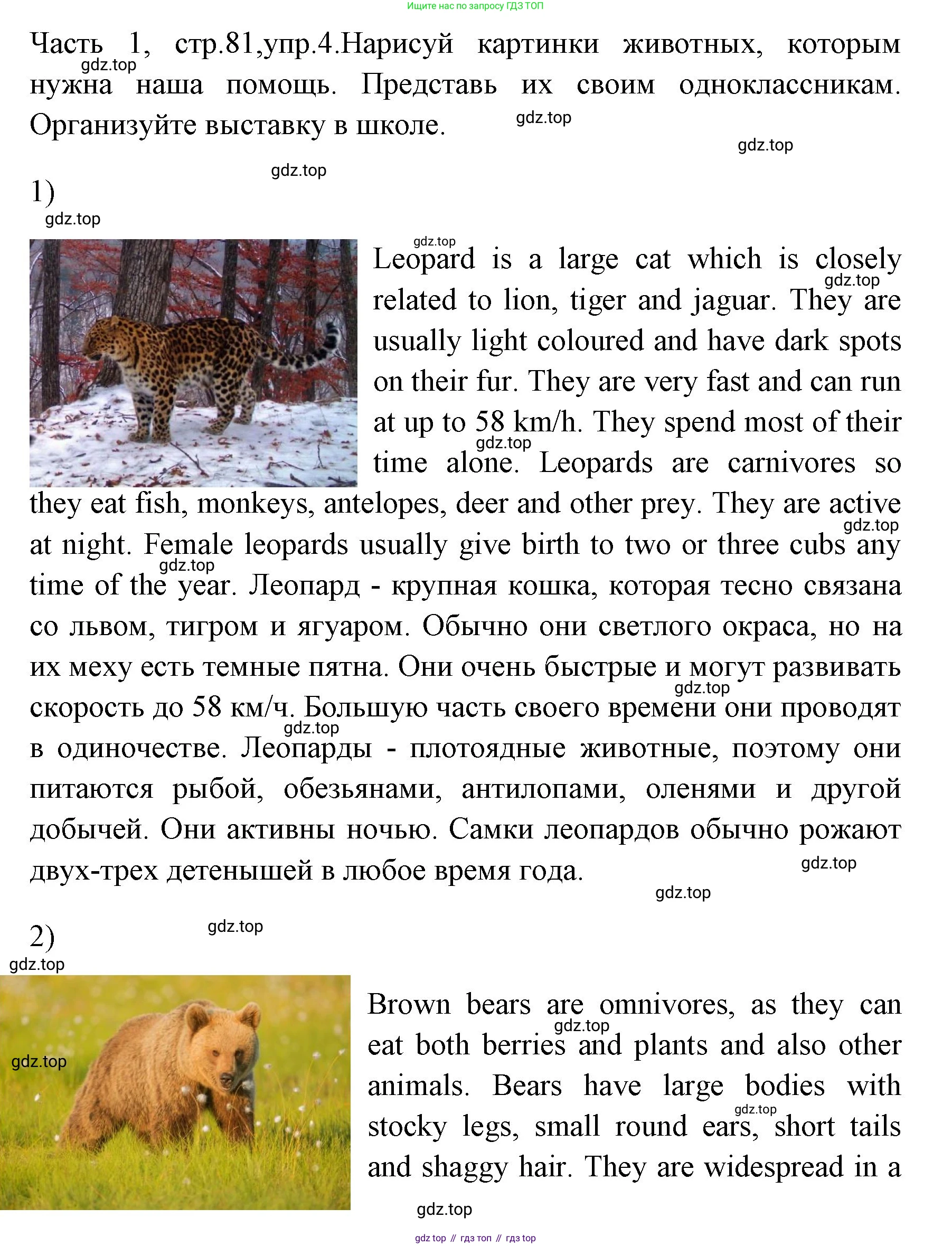 ГДЗ Английский язык (english), 4 класс Учебник (Student's book), авторы: Быкова Надежда Ильинична (Bykova Nadezhda), Дули Дженни (Dooley Jenny), Поспелова Марина Давидовна (Pospelova Marina), Эванс Вирджиния (Evans Virginia), издательство Просвещение, Москва, 2023, белого цвета, Часть ( Part) 1, страница 81, номер 4, Решение 1