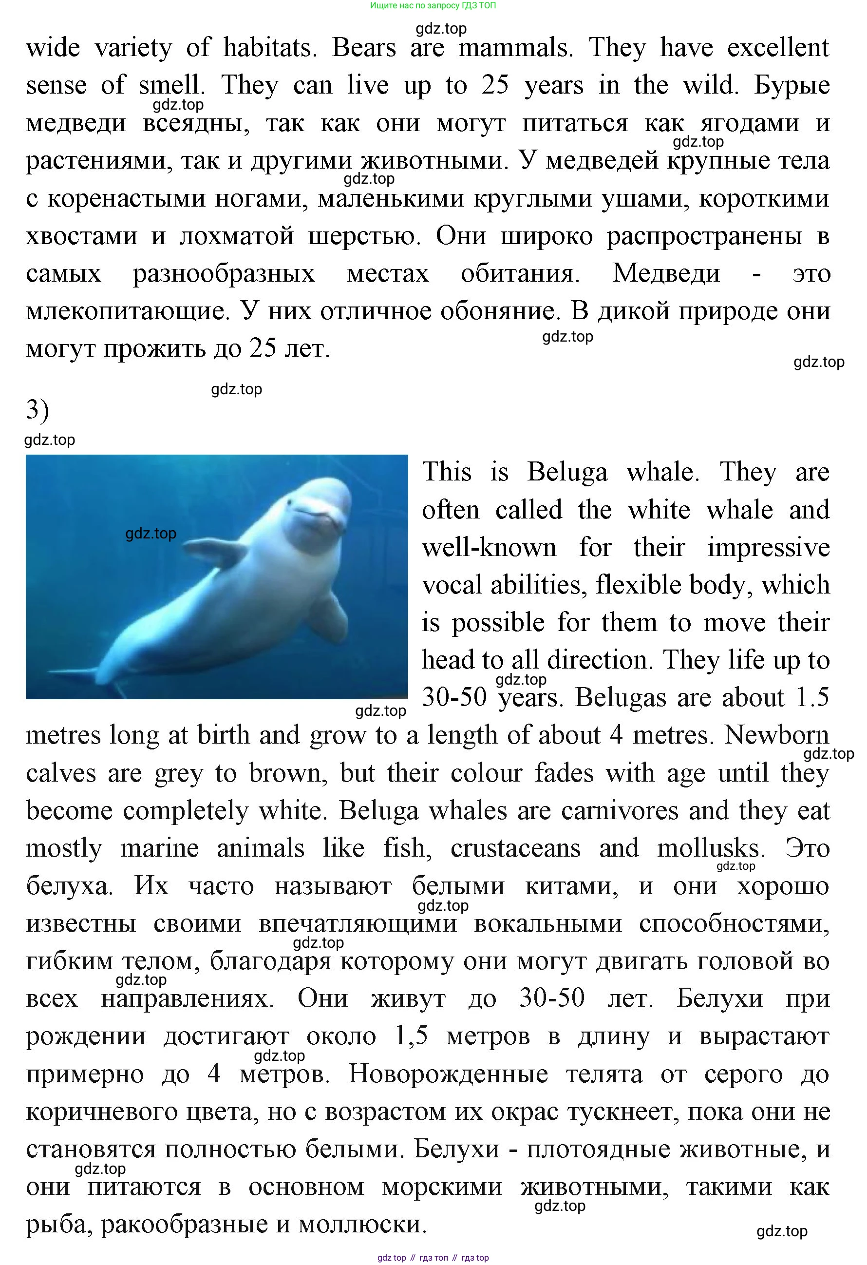ГДЗ Английский язык (english), 4 класс Учебник (Student's book), авторы: Быкова Надежда Ильинична (Bykova Nadezhda), Дули Дженни (Dooley Jenny), Поспелова Марина Давидовна (Pospelova Marina), Эванс Вирджиния (Evans Virginia), издательство Просвещение, Москва, 2023, белого цвета, Часть ( Part) 1, страница 81, номер 4, Решение 1 (продолжение 2)