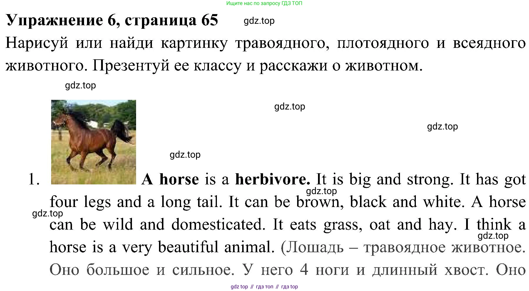 ГДЗ Английский язык (english), 4 класс Учебник (Student's book), авторы: Быкова Надежда Ильинична (Bykova Nadezhda), Дули Дженни (Dooley Jenny), Поспелова Марина Давидовна (Pospelova Marina), Эванс Вирджиния (Evans Virginia), издательство Просвещение, Москва, 2023, белого цвета, Часть ( Part) 1, страница 65, номер 6, Решение 2