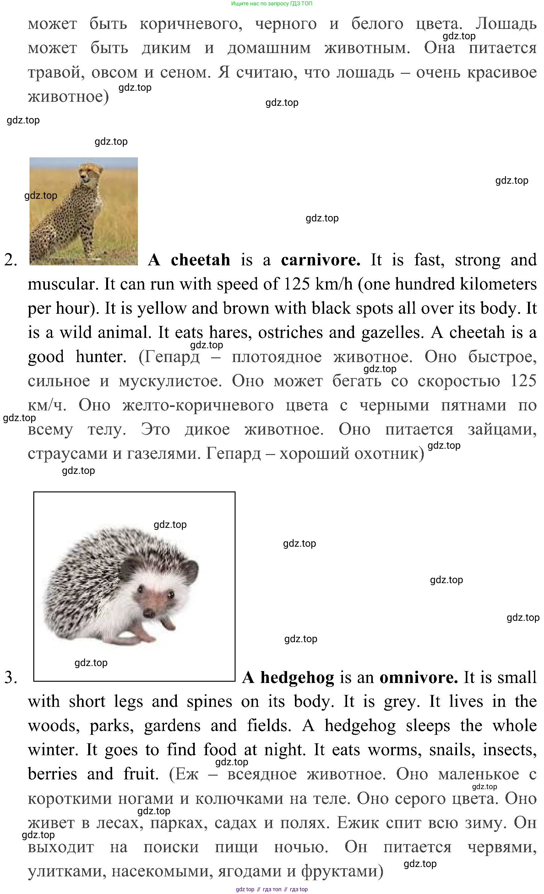 ГДЗ Английский язык (english), 4 класс Учебник (Student's book), авторы: Быкова Надежда Ильинична (Bykova Nadezhda), Дули Дженни (Dooley Jenny), Поспелова Марина Давидовна (Pospelova Marina), Эванс Вирджиния (Evans Virginia), издательство Просвещение, Москва, 2023, белого цвета, Часть ( Part) 1, страница 65, номер 6, Решение 2 (продолжение 2)