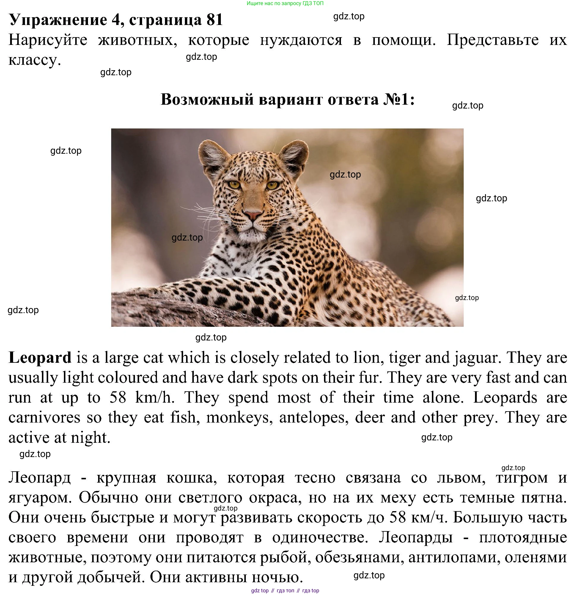 ГДЗ Английский язык (english), 4 класс Учебник (Student's book), авторы: Быкова Надежда Ильинична (Bykova Nadezhda), Дули Дженни (Dooley Jenny), Поспелова Марина Давидовна (Pospelova Marina), Эванс Вирджиния (Evans Virginia), издательство Просвещение, Москва, 2023, белого цвета, Часть ( Part) 1, страница 81, номер 4, Решение 3