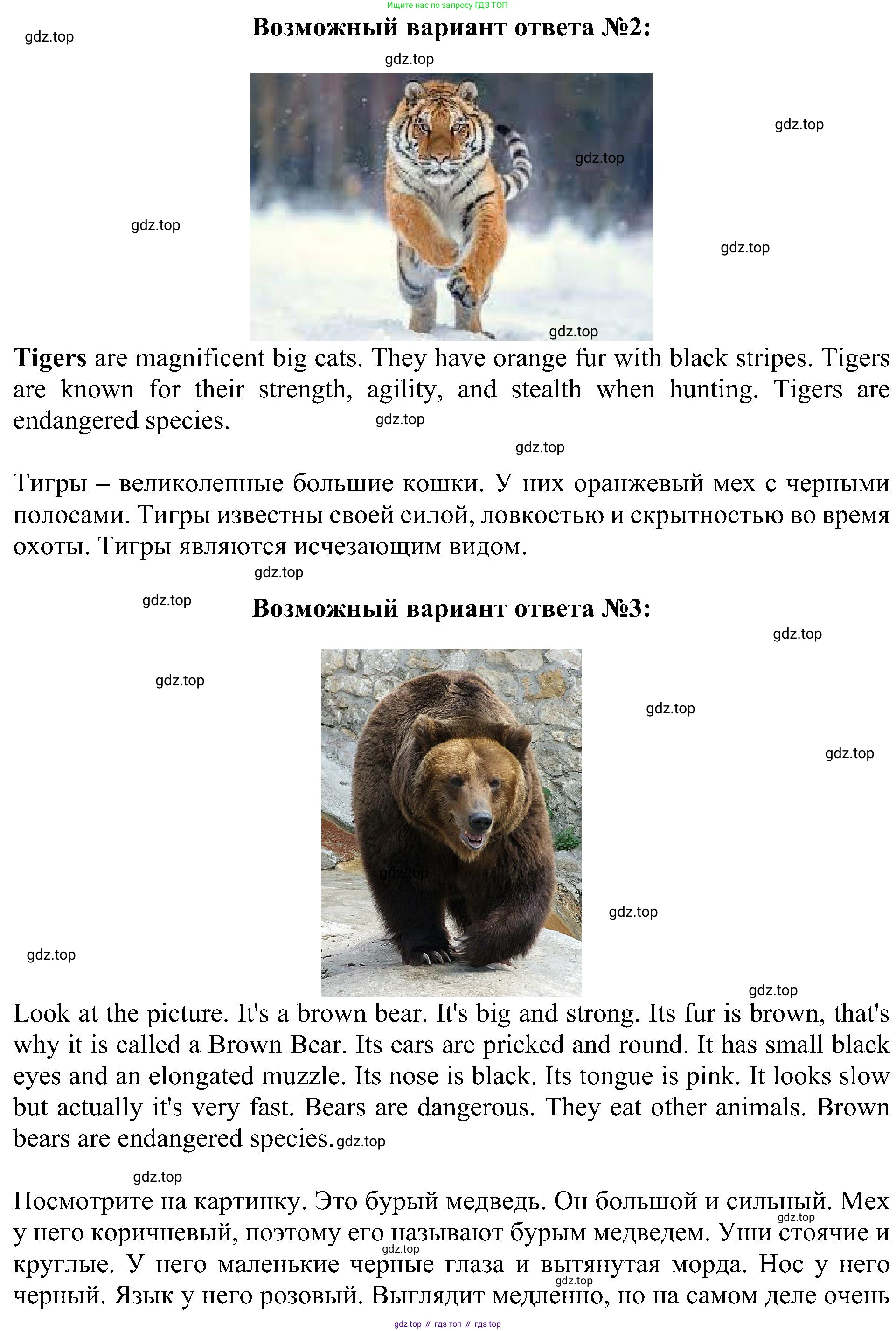 ГДЗ Английский язык (english), 4 класс Учебник (Student's book), авторы: Быкова Надежда Ильинична (Bykova Nadezhda), Дули Дженни (Dooley Jenny), Поспелова Марина Давидовна (Pospelova Marina), Эванс Вирджиния (Evans Virginia), издательство Просвещение, Москва, 2023, белого цвета, Часть ( Part) 1, страница 81, номер 4, Решение 3 (продолжение 2)
