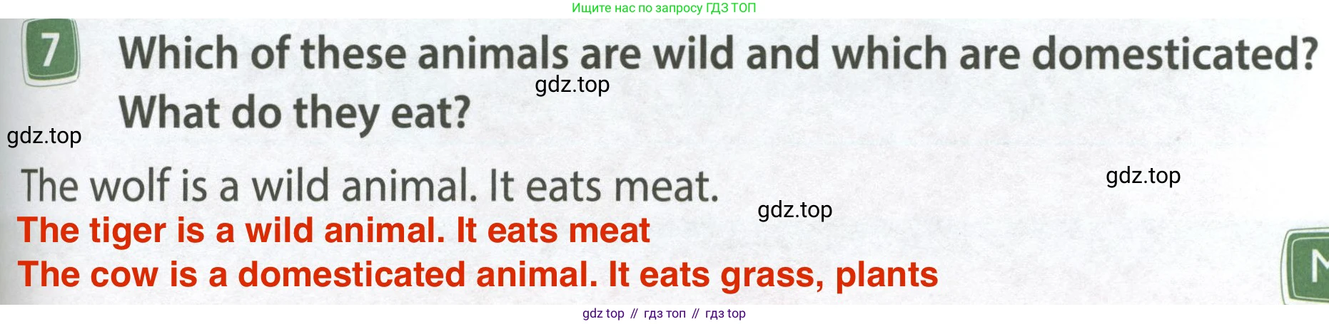 ГДЗ Английский язык (english), 4 класс Учебник (Student's book), авторы: Быкова Надежда Ильинична (Bykova Nadezhda), Дули Дженни (Dooley Jenny), Поспелова Марина Давидовна (Pospelova Marina), Эванс Вирджиния (Evans Virginia), издательство Просвещение, Москва, 2023, белого цвета, Часть ( Part) 1, страница 65, номер 7, Решение 4
