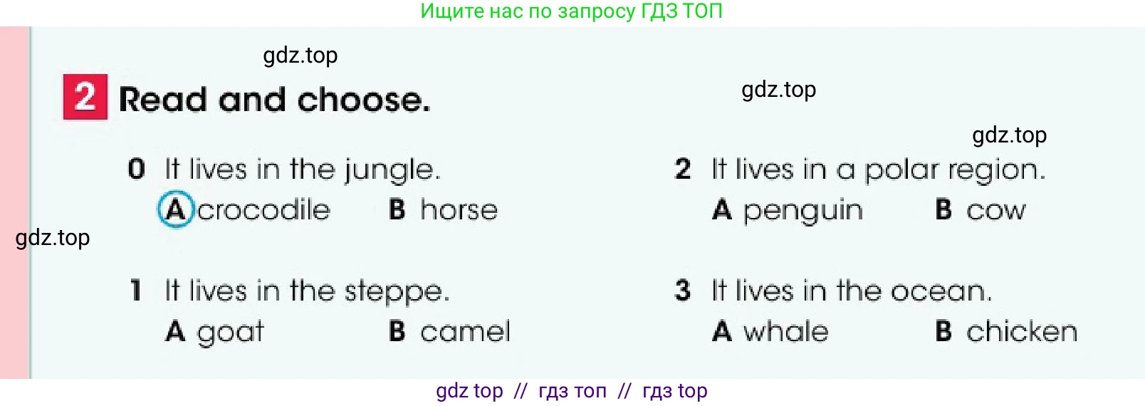 Английский язык (english), 4 класс Учебник (Pupil's book), авторы: Дули Дженни (Dooley Jenny), Оби Боб (Obee Bob), Мухамеджанова Наталья (Mukhamedjanova Natalya), издательство Express Publishing, Алматы, 2025, голубого цвета, страница 79, номер 2, Условие