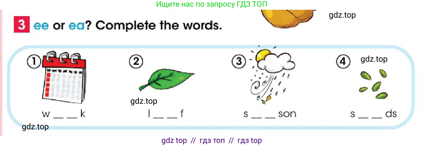 Английский язык (english), 4 класс Учебник (Pupil's book), авторы: Дули Дженни (Dooley Jenny), Оби Боб (Obee Bob), Мухамеджанова Наталья (Mukhamedjanova Natalya), издательство Express Publishing, Алматы, 2025, голубого цвета, страница 102, номер 3, Условие