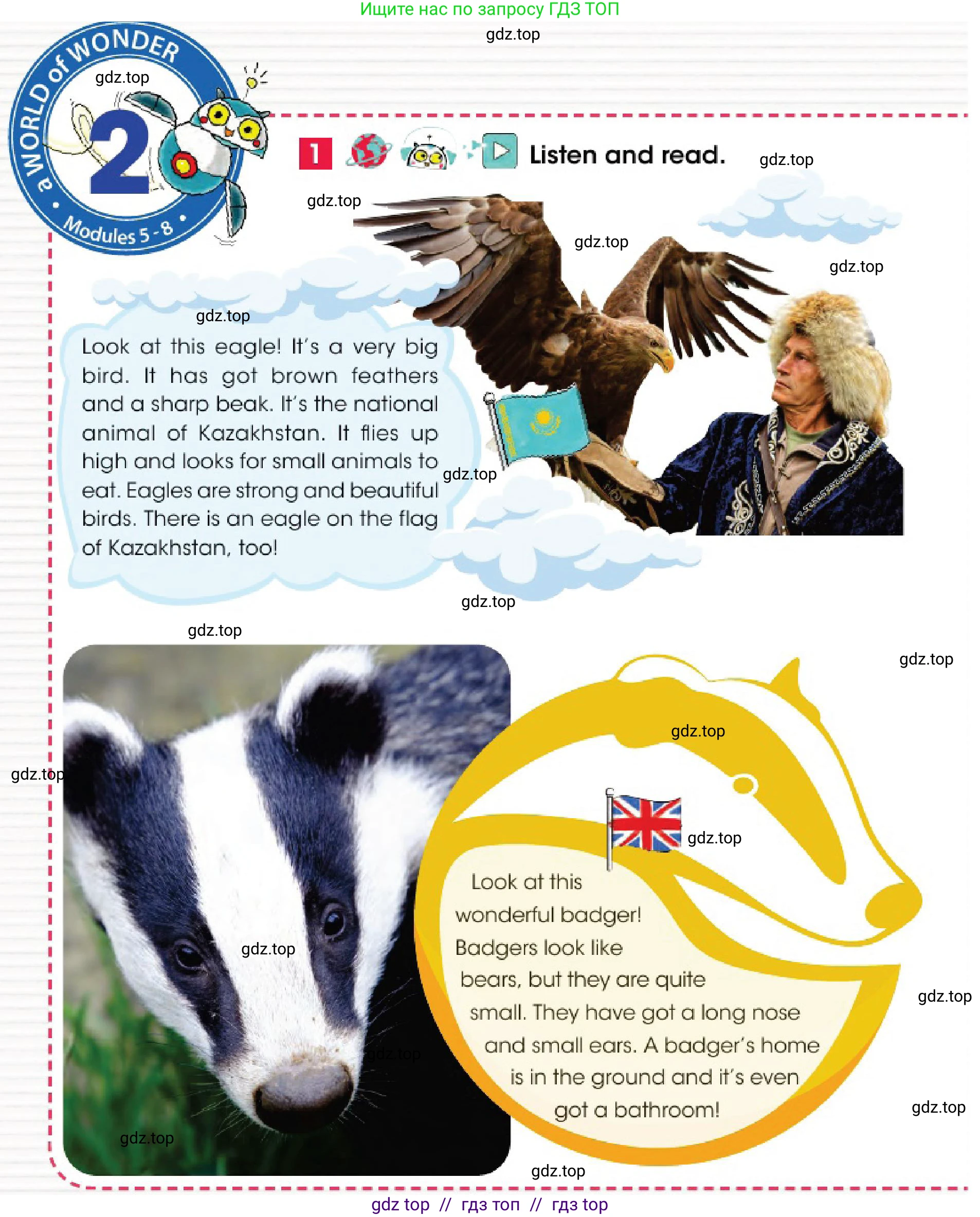 Английский язык (english), 4 класс Учебник (Pupil's book), авторы: Дули Дженни (Dooley Jenny), Оби Боб (Obee Bob), Мухамеджанова Наталья (Mukhamedjanova Natalya), издательство Express Publishing, Алматы, 2025, голубого цвета, страница 104, номер 1, Условие