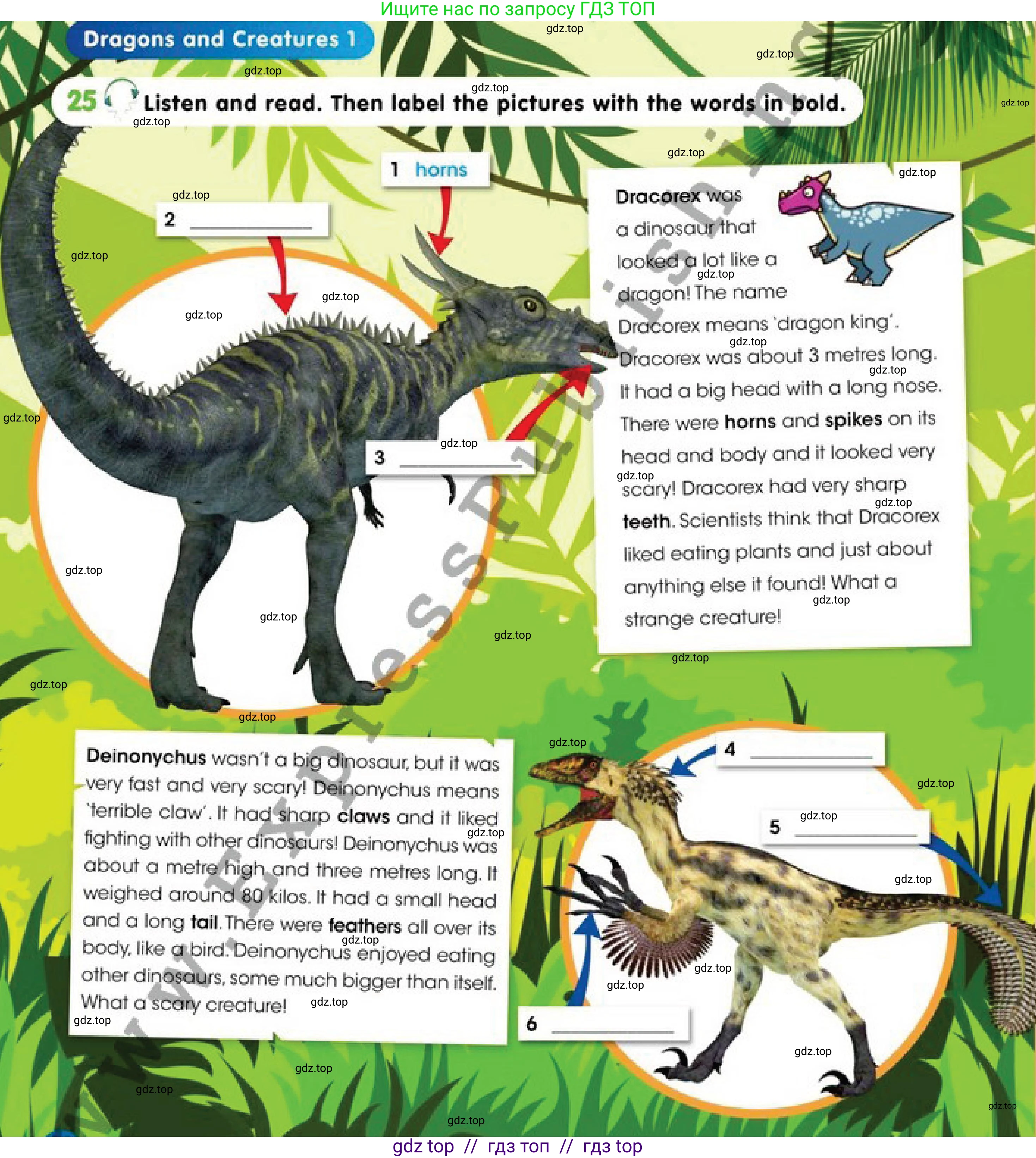 Английский язык (english), 4 класс Учебник (Pupil's book), авторы: Дули Дженни (Dooley Jenny), Оби Боб (Obee Bob), Мухамеджанова Наталья (Mukhamedjanova Natalya), издательство Express Publishing, Алматы, 2019, страница 28, номер 25, Условие