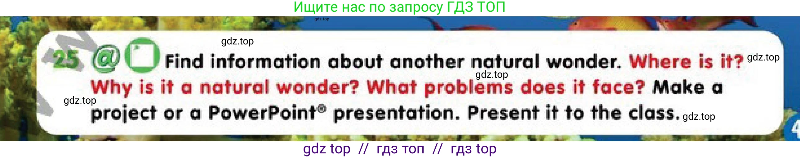 Английский язык (english), 4 класс Учебник (Pupil's book), авторы: Дули Дженни (Dooley Jenny), Оби Боб (Obee Bob), Мухамеджанова Наталья (Mukhamedjanova Natalya), издательство Express Publishing, Алматы, 2019, страница 47, номер 25, Условие