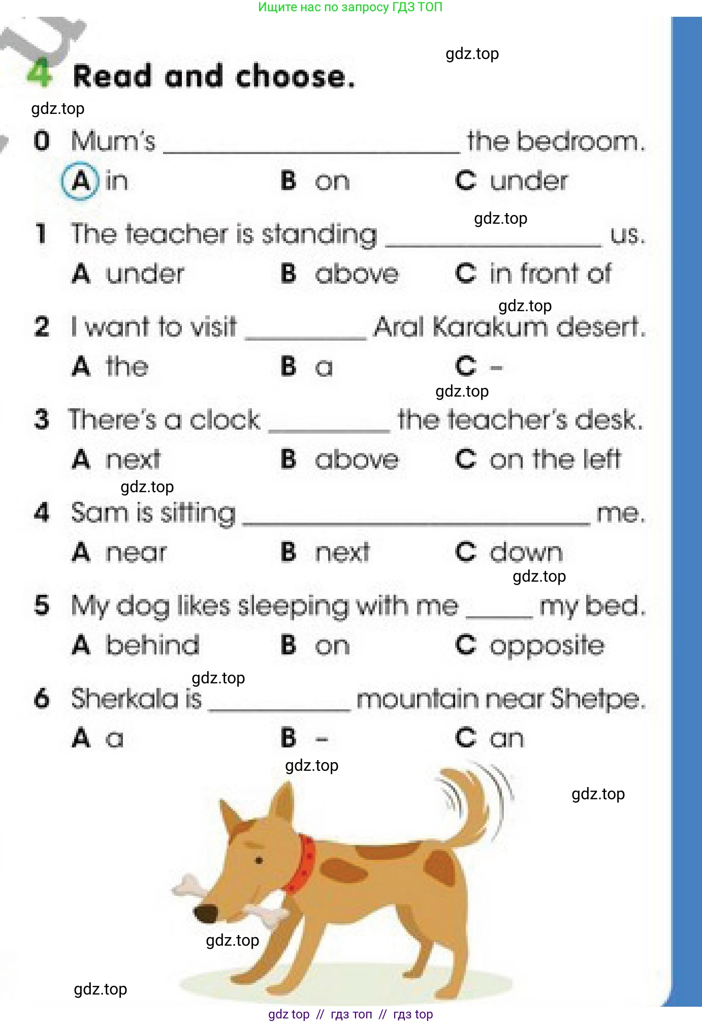 Английский язык (english), 4 класс Учебник (Pupil's book), авторы: Дули Дженни (Dooley Jenny), Оби Боб (Obee Bob), Мухамеджанова Наталья (Mukhamedjanova Natalya), издательство Express Publishing, Алматы, 2019, страница 49, номер 4, Условие