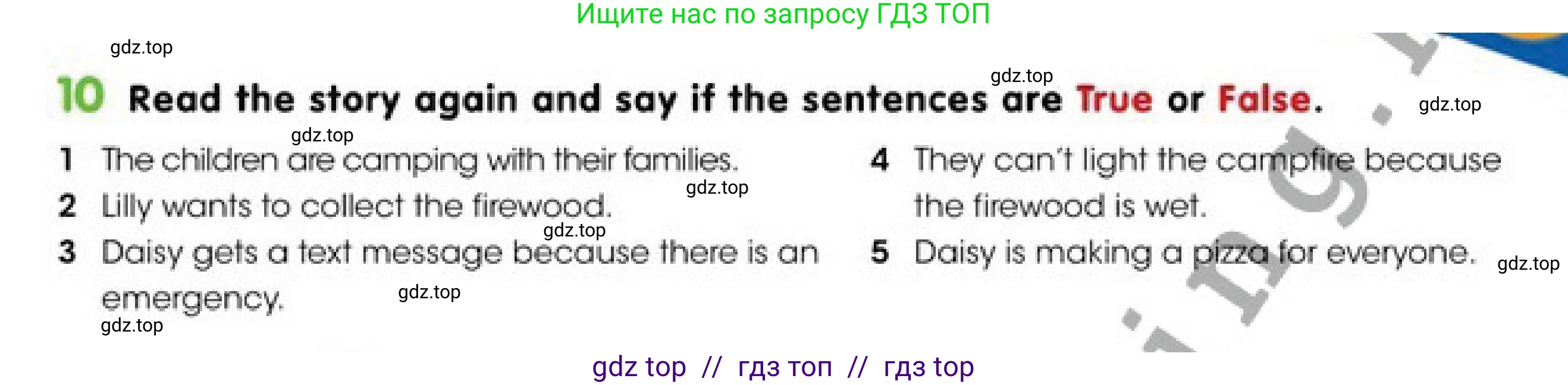 Английский язык (english), 4 класс Учебник (Pupil's book), авторы: Дули Дженни (Dooley Jenny), Оби Боб (Obee Bob), Мухамеджанова Наталья (Mukhamedjanova Natalya), издательство Express Publishing, Алматы, 2019, страница 73, номер 10, Условие