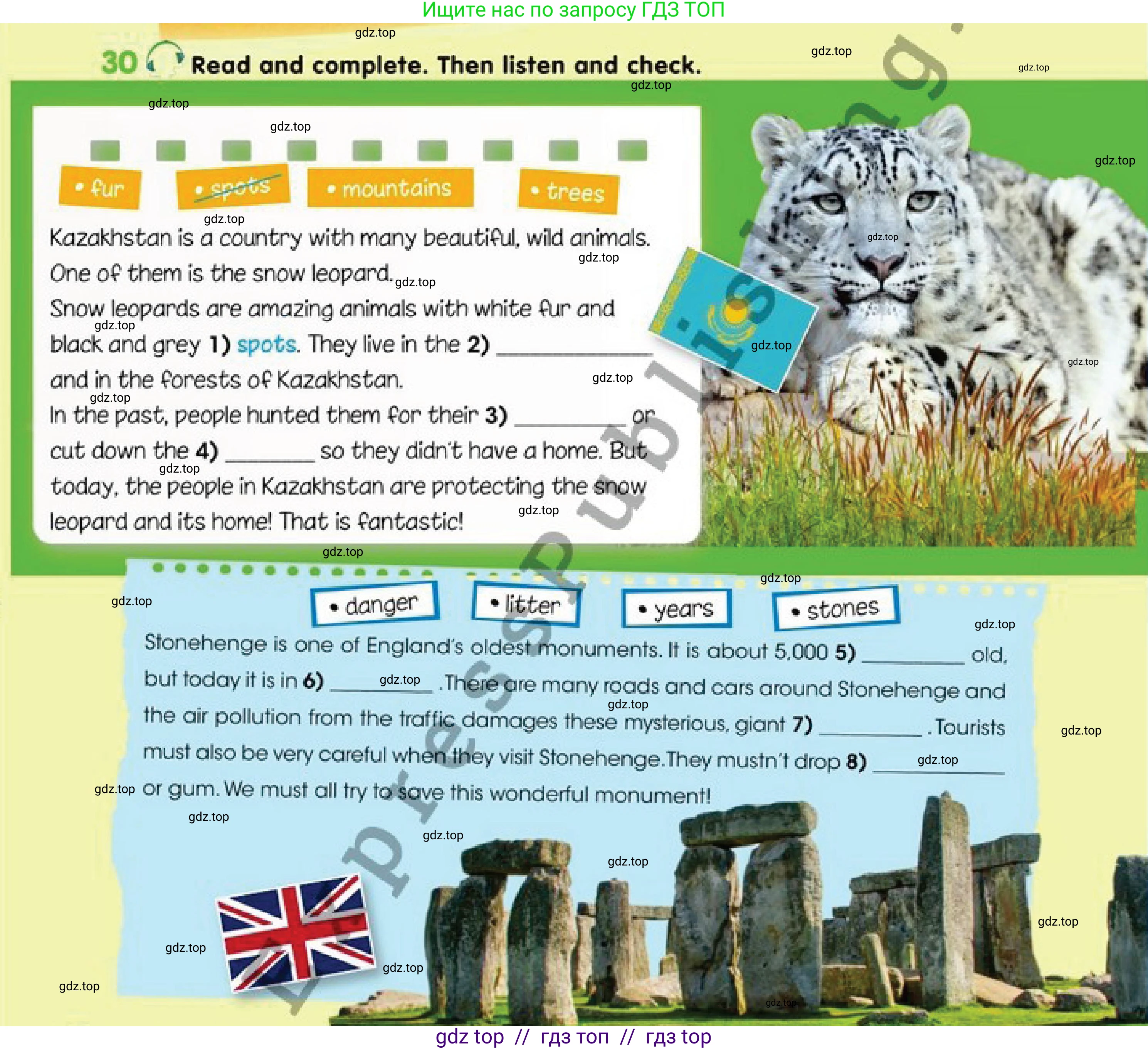 Английский язык (english), 4 класс Учебник (Pupil's book), авторы: Дули Дженни (Dooley Jenny), Оби Боб (Obee Bob), Мухамеджанова Наталья (Mukhamedjanova Natalya), издательство Express Publishing, Алматы, 2019, страница 94, номер 30, Условие
