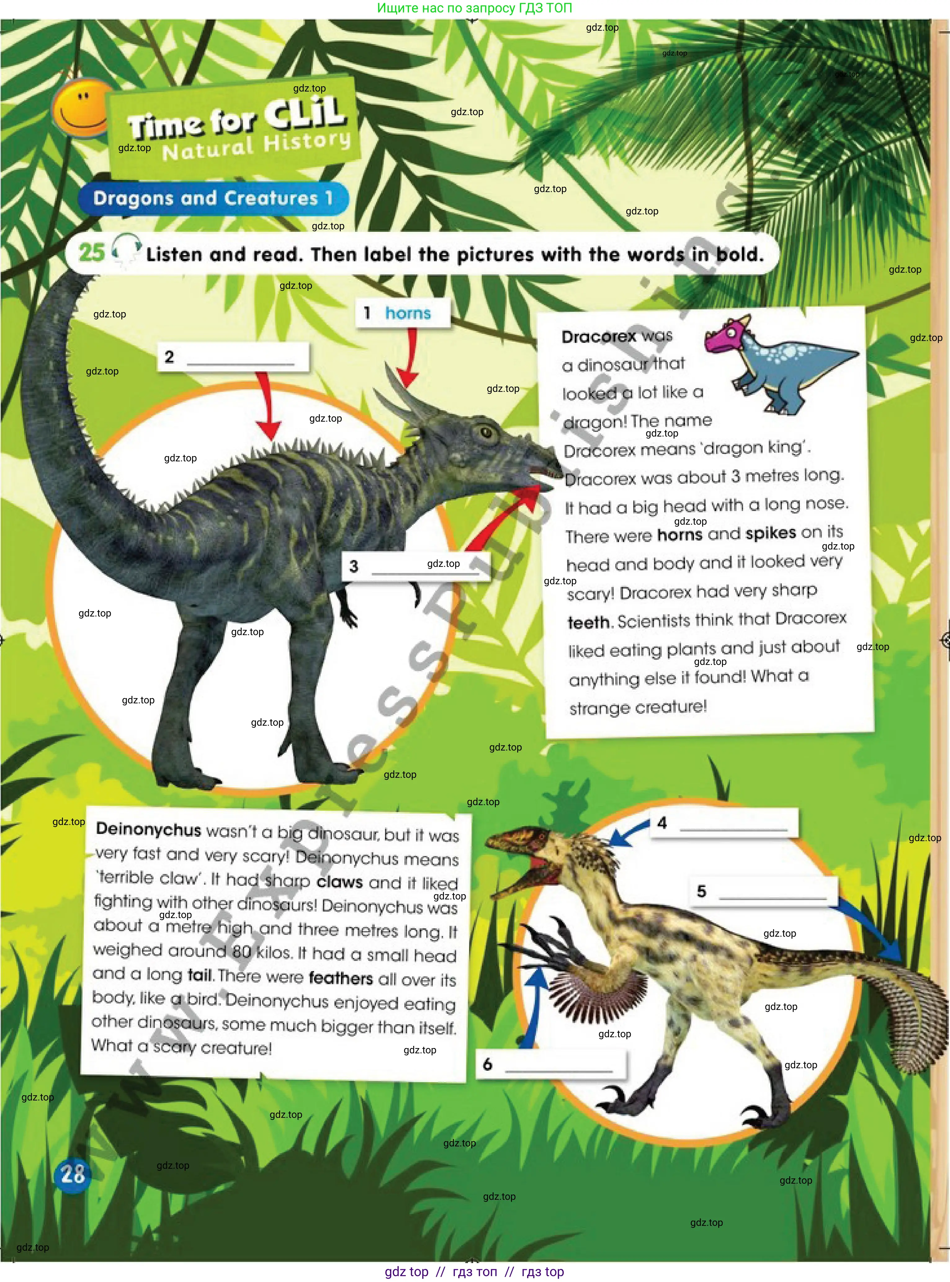 Английский язык (english), 4 класс Учебник (Pupil's book), авторы: Дули Дженни (Dooley Jenny), Оби Боб (Obee Bob), Мухамеджанова Наталья (Mukhamedjanova Natalya), издательство Express Publishing, Алматы, 2019, страница 28