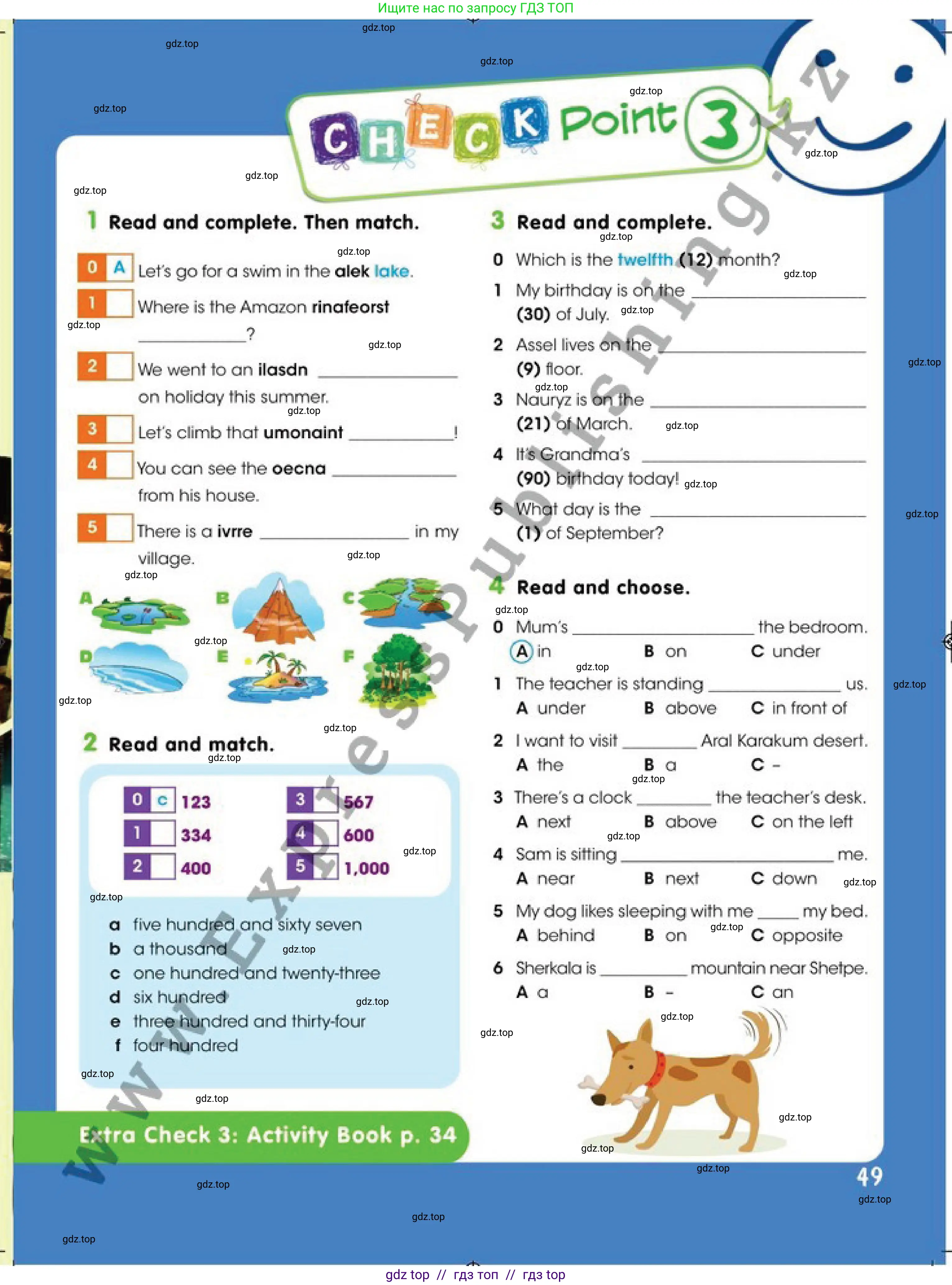 Английский язык (english), 4 класс Учебник (Pupil's book), авторы: Дули Дженни (Dooley Jenny), Оби Боб (Obee Bob), Мухамеджанова Наталья (Mukhamedjanova Natalya), издательство Express Publishing, Алматы, 2019, страница 49