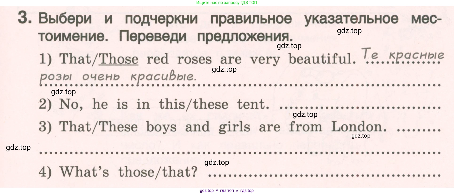 ГДЗ Английский язык (english), 4 класс Пособие по грамматике (grammar companion), авторы: Комарова Юлия Александровна, Малова Ольга Вадимовна (Malova Olga), издательство Русское слово, Москва, 2023, сиреневого цвета, Часть ( Part) 1, страница 35, номер 3, Условие