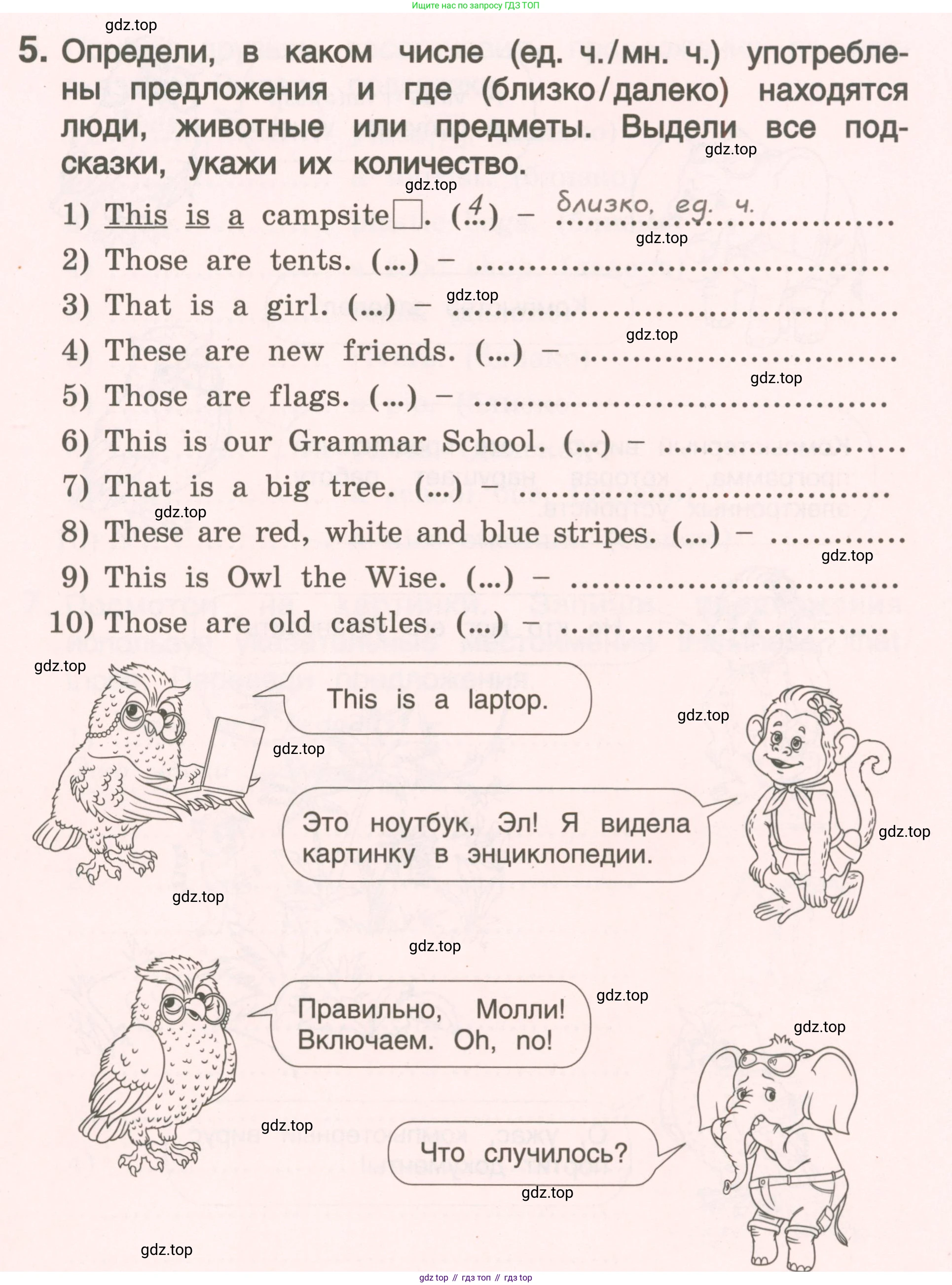 ГДЗ Английский язык (english), 4 класс Пособие по грамматике (grammar companion), авторы: Комарова Юлия Александровна, Малова Ольга Вадимовна (Malova Olga), издательство Русское слово, Москва, 2023, сиреневого цвета, Часть ( Part) 1, страница 39, номер 5, Условие