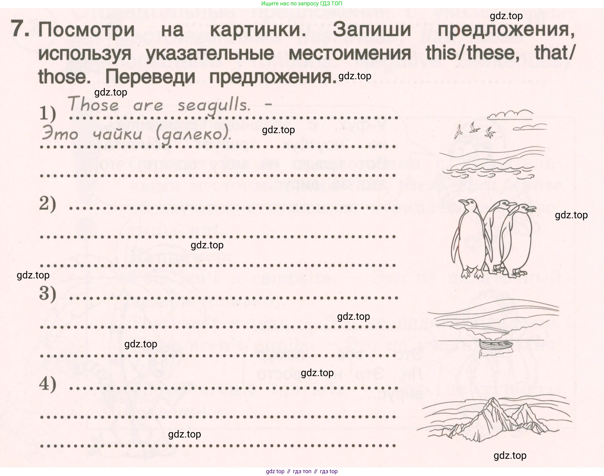 ГДЗ Английский язык (english), 4 класс Пособие по грамматике (grammar companion), авторы: Комарова Юлия Александровна, Малова Ольга Вадимовна (Malova Olga), издательство Русское слово, Москва, 2023, сиреневого цвета, Часть ( Part) 1, страница 41, номер 7, Условие
