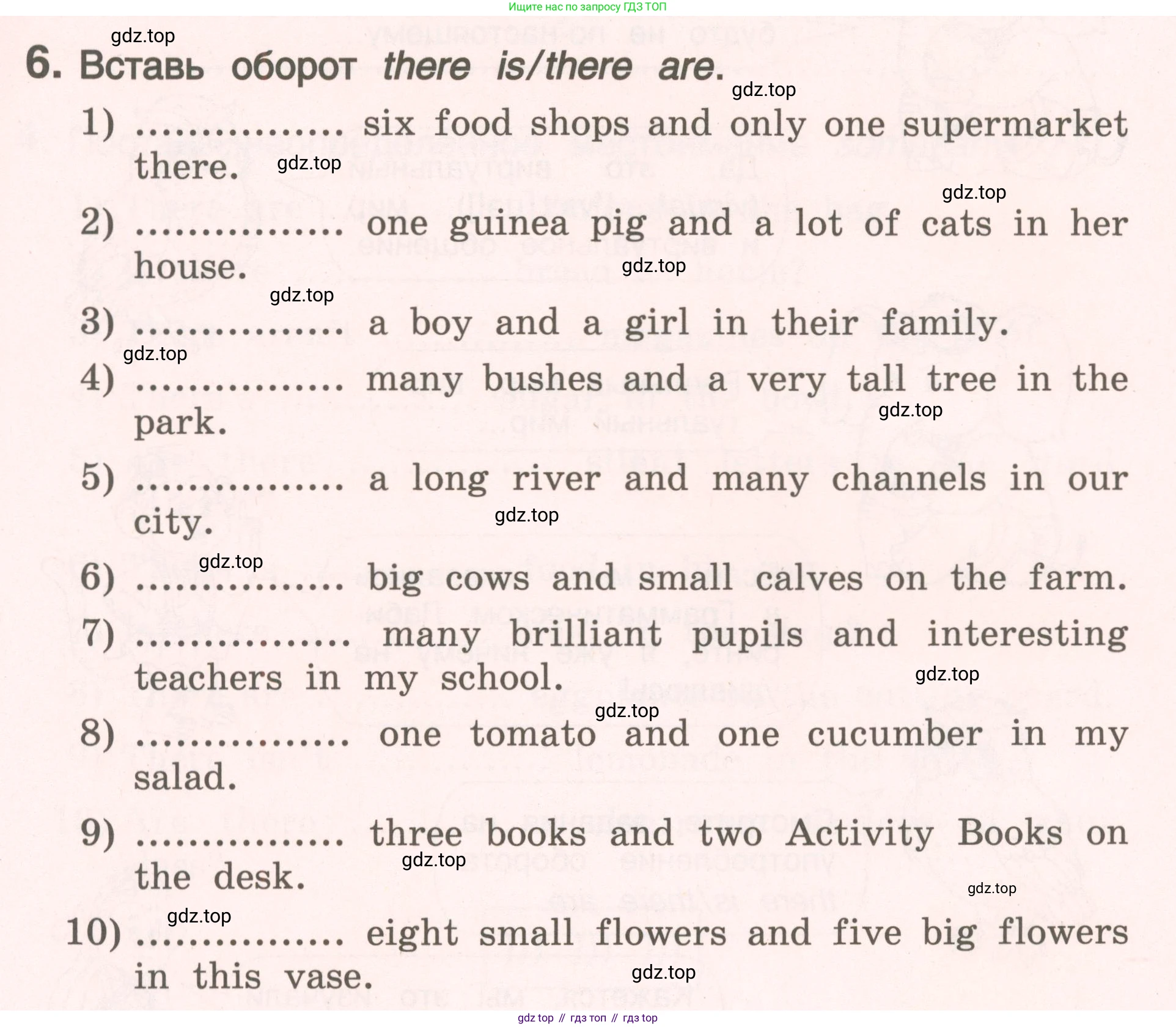 ГДЗ Английский язык (english), 4 класс Пособие по грамматике (grammar companion), авторы: Комарова Юлия Александровна, Малова Ольга Вадимовна (Malova Olga), издательство Русское слово, Москва, 2023, сиреневого цвета, Часть ( Part) 2, страница 10, номер 6, Условие