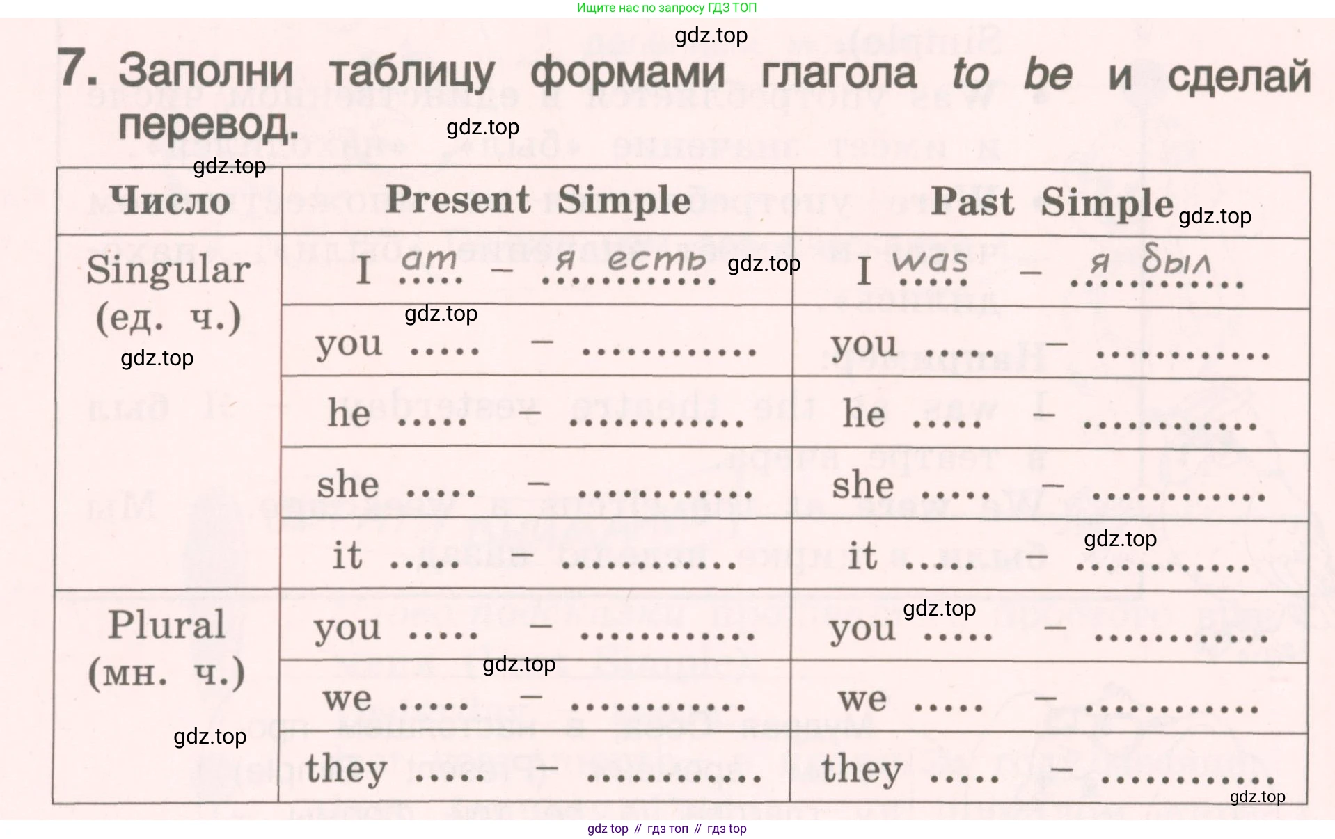 ГДЗ Английский язык (english), 4 класс Пособие по грамматике (grammar companion), авторы: Комарова Юлия Александровна, Малова Ольга Вадимовна (Malova Olga), издательство Русское слово, Москва, 2023, сиреневого цвета, Часть ( Part) 2, страница 88, номер 7, Условие