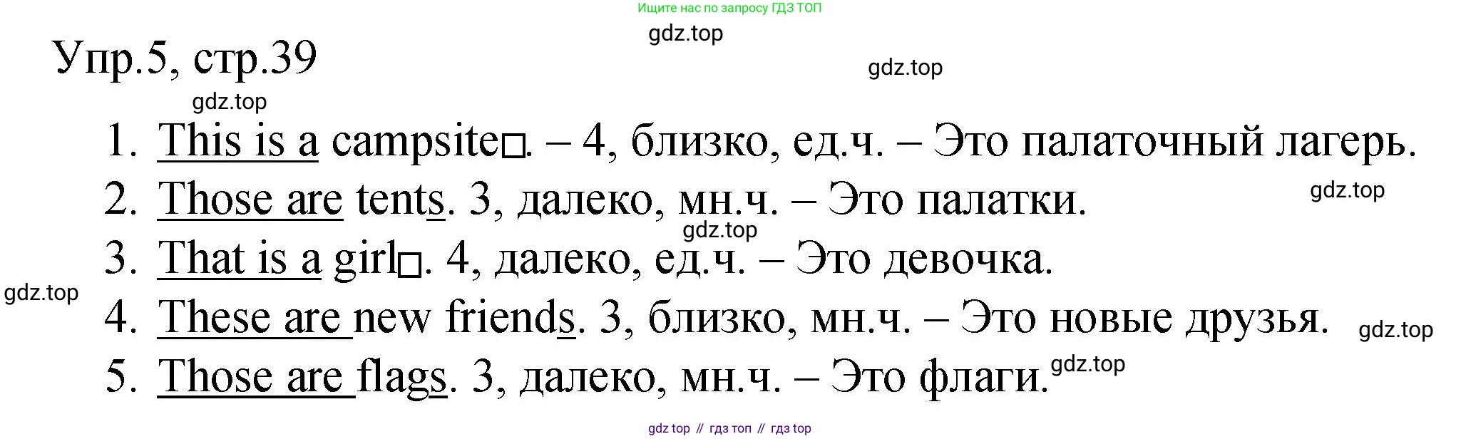 ГДЗ Английский язык (english), 4 класс Пособие по грамматике (grammar companion), авторы: Комарова Юлия Александровна, Малова Ольга Вадимовна (Malova Olga), издательство Русское слово, Москва, 2023, сиреневого цвета, Часть ( Part) 1, страница 39, номер 5, Решение
