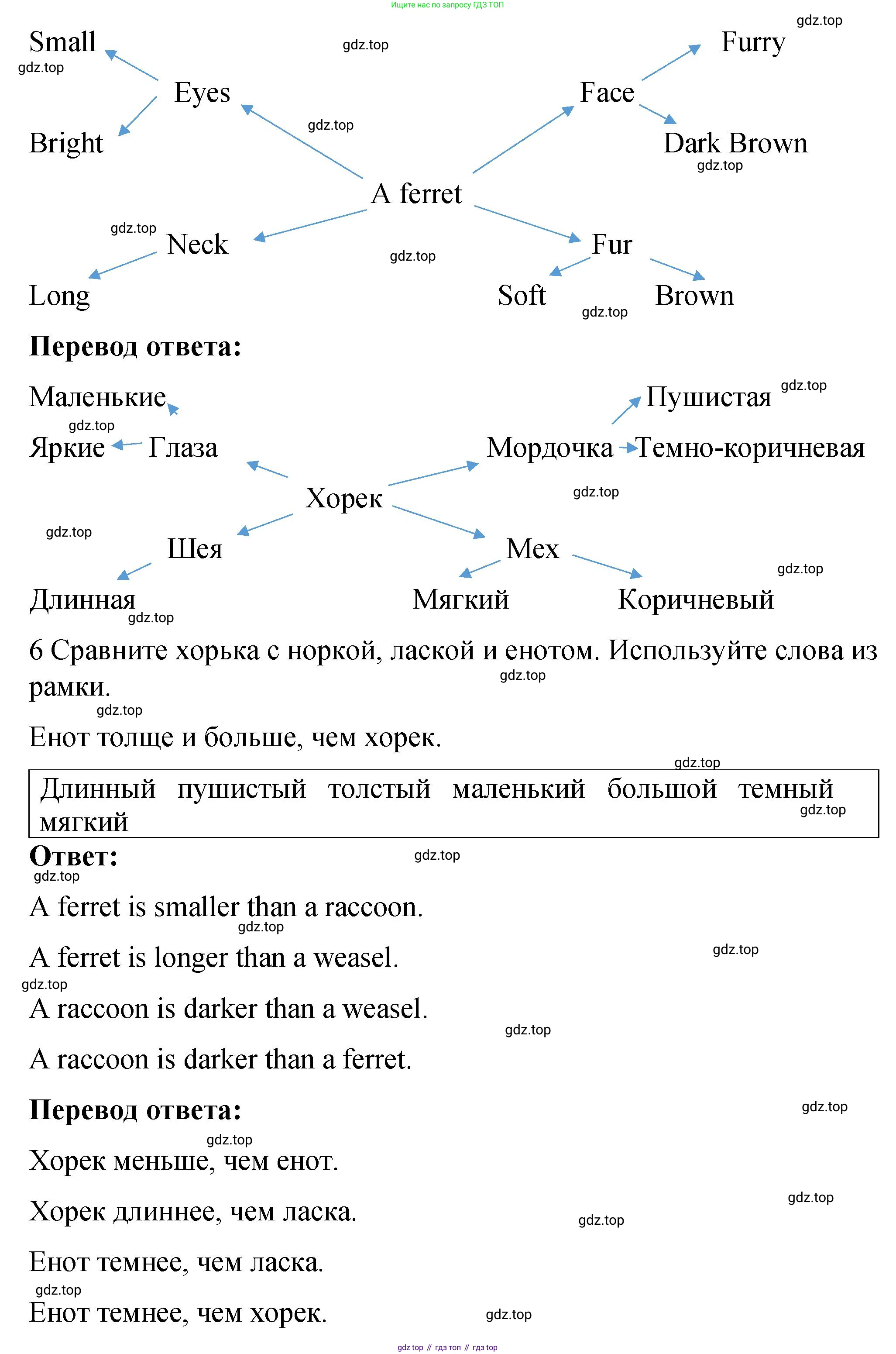 Английский язык (english), 4 класс книга для чтения (reader), авторы: Кузовлев Владимир Петрович (Kuzovlev Vladimir), Перегудова Эльвира Шакировна, Стрельникова Ольга Викторовна (Strelnikova Olga), Дуванова Ольга Викторовна, издательство Просвещение, Москва, 2014, оранжевого цвета, страница 19, номер 4, Решение (продолжение 4)