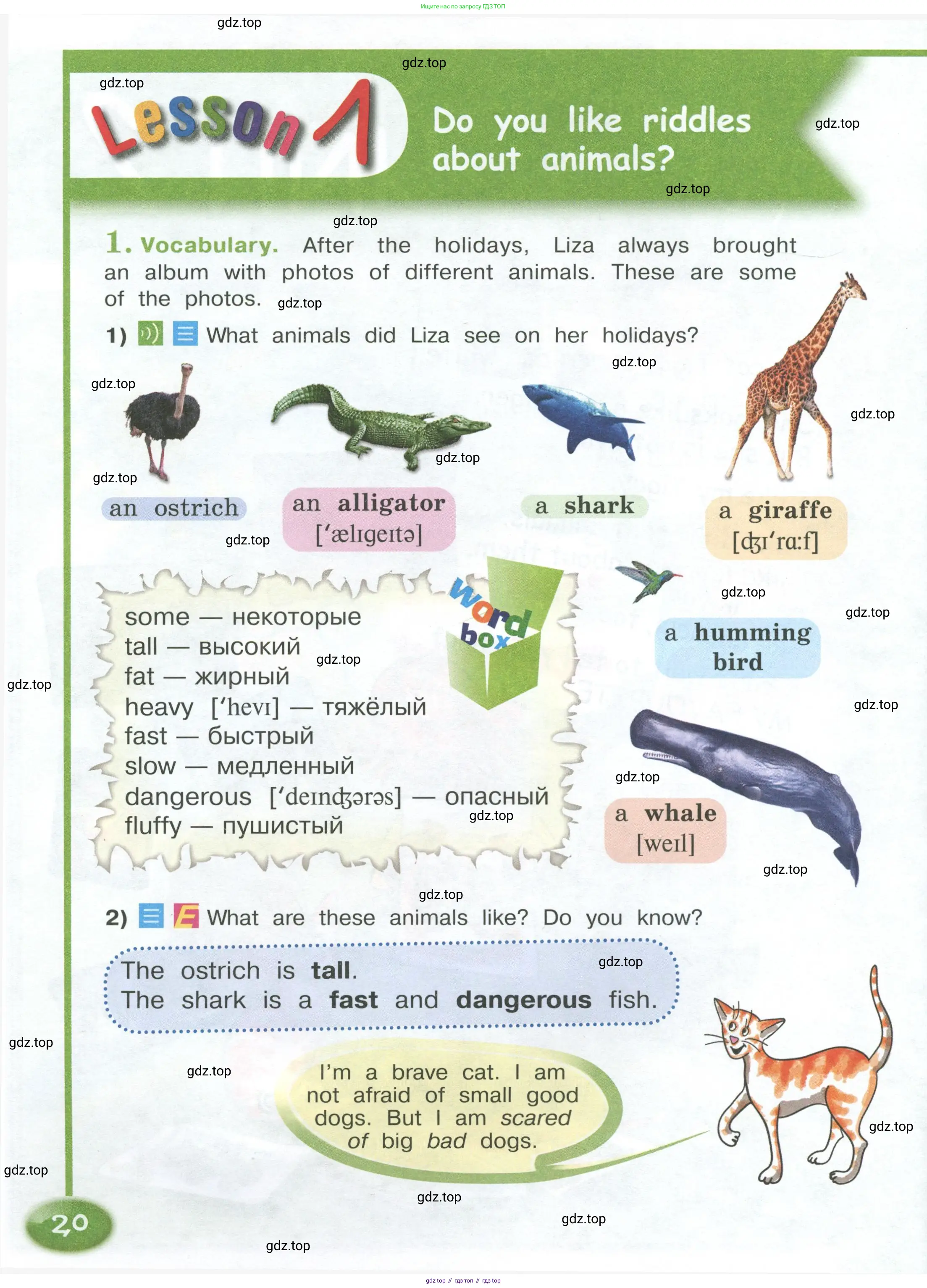 Английский язык (english), 4 класс Учебник (Student's book), авторы: Кузовлев Владимир Петрович (Kuzovlev Vladimir), Перегудова Эльвира Шакировна, Стрельникова Ольга Викторовна (Strelnikova Olga), Дуванова Ольга Викторовна, издательство Просвещение, Москва, 2019, красного цвета, Часть ( Part) 1, страница 20