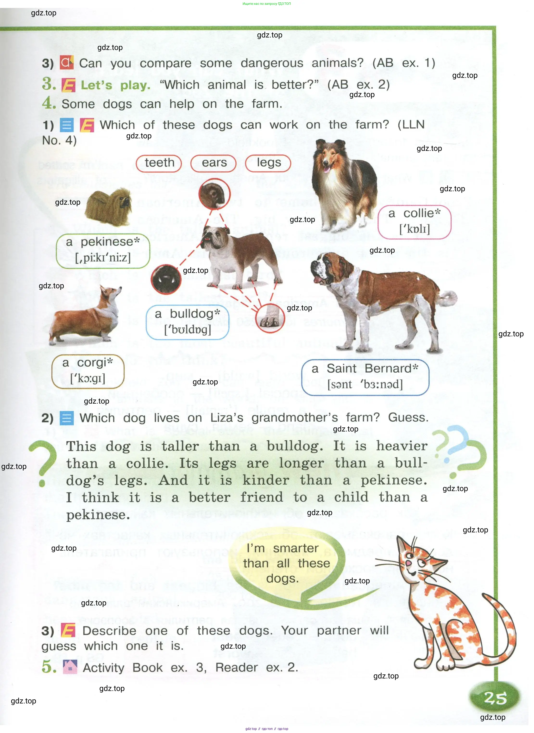Английский язык (english), 4 класс Учебник (Student's book), авторы: Кузовлев Владимир Петрович (Kuzovlev Vladimir), Перегудова Эльвира Шакировна, Стрельникова Ольга Викторовна (Strelnikova Olga), Дуванова Ольга Викторовна, издательство Просвещение, Москва, 2019, красного цвета, Часть ( Part) 1, страница 25