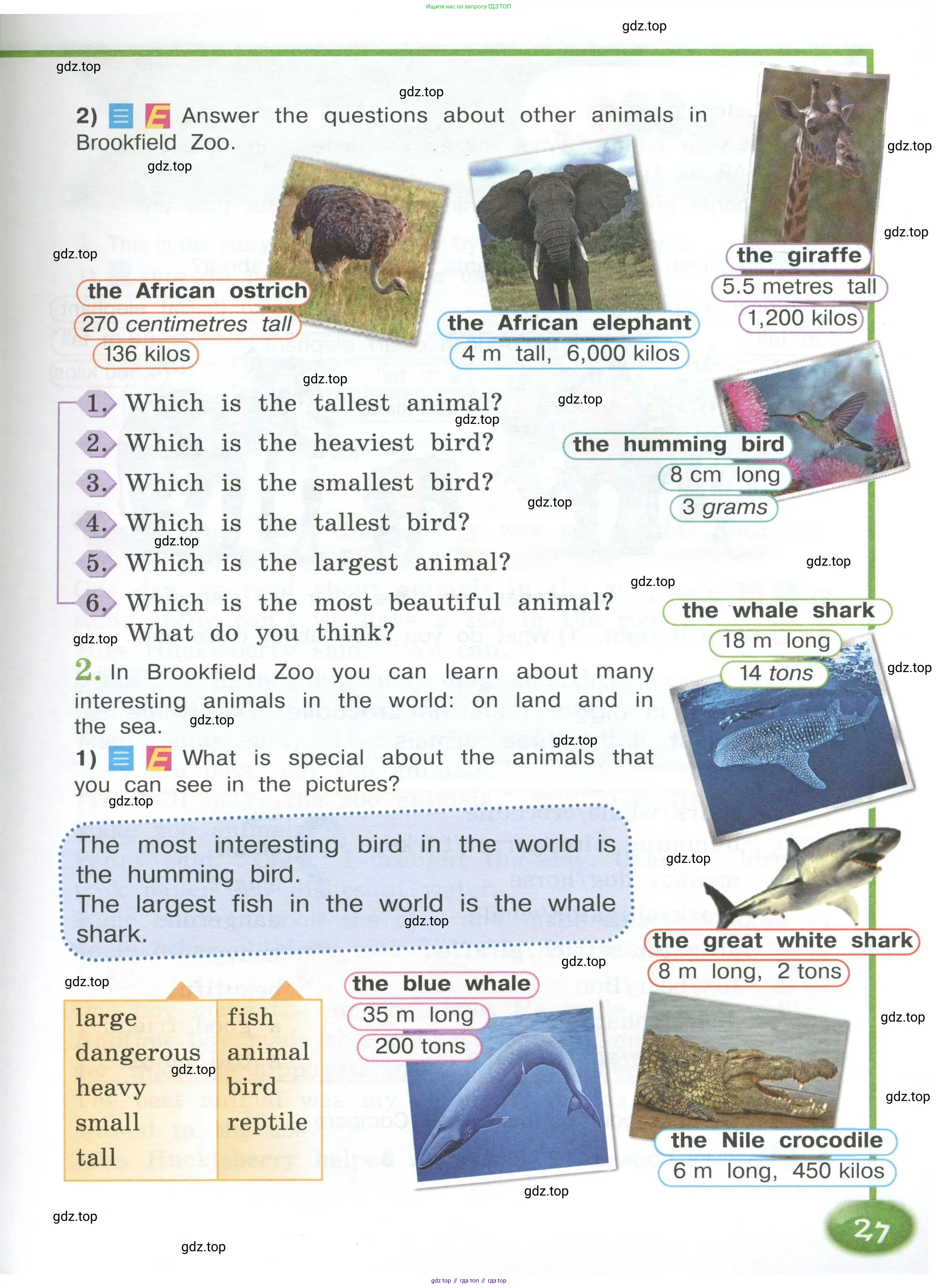 Английский язык (english), 4 класс Учебник (Student's book), авторы: Кузовлев Владимир Петрович (Kuzovlev Vladimir), Перегудова Эльвира Шакировна, Стрельникова Ольга Викторовна (Strelnikova Olga), Дуванова Ольга Викторовна, издательство Просвещение, Москва, 2019, красного цвета, Часть ( Part) 1, страница 27
