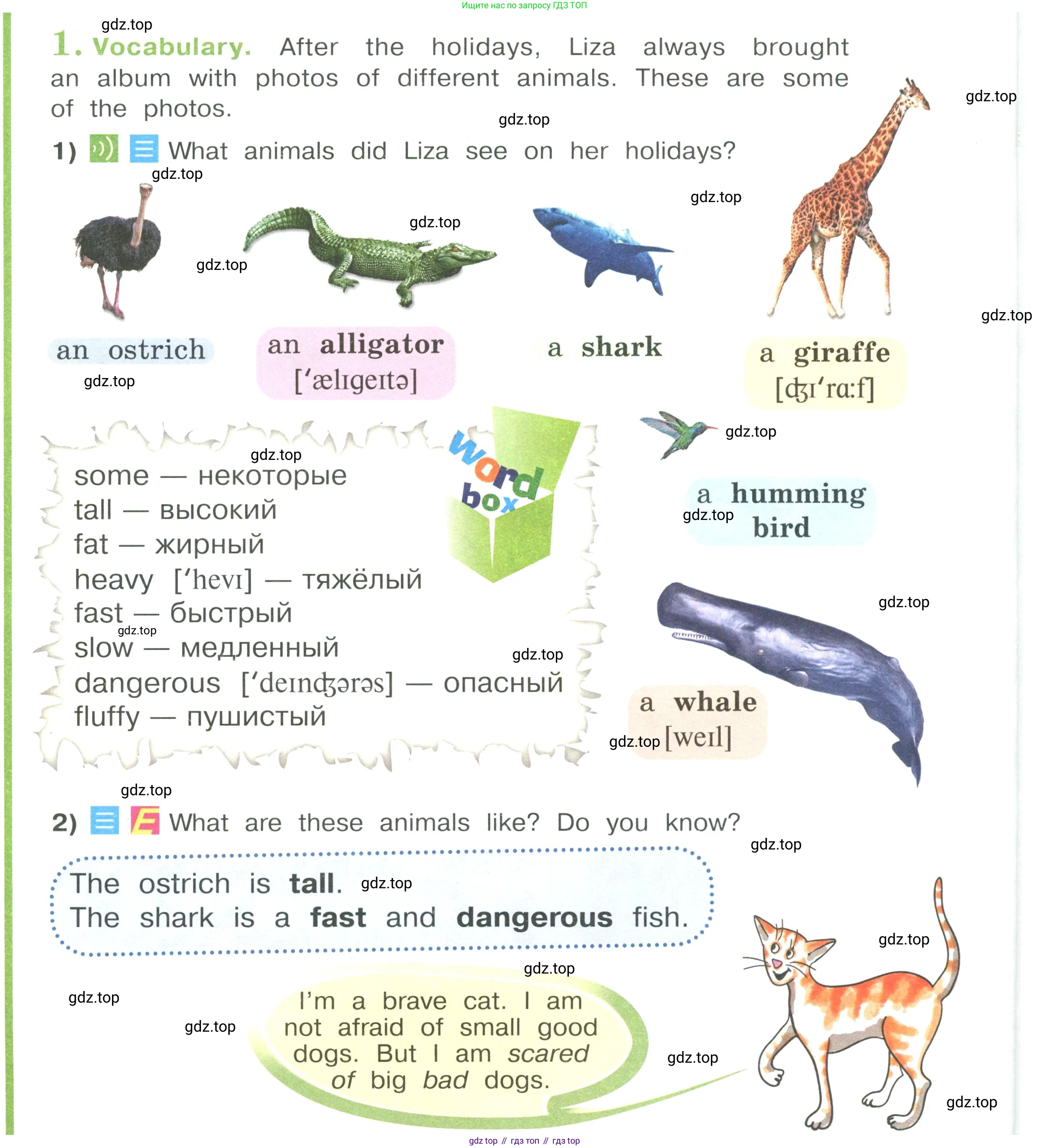 Английский язык (english), 4 класс Учебник (Student's book), авторы: Кузовлев Владимир Петрович (Kuzovlev Vladimir), Перегудова Эльвира Шакировна, Стрельникова Ольга Викторовна (Strelnikova Olga), Дуванова Ольга Викторовна, издательство Просвещение, Москва, 2019, красного цвета, Часть ( Part) 1, страница 20, номер 1, Условие