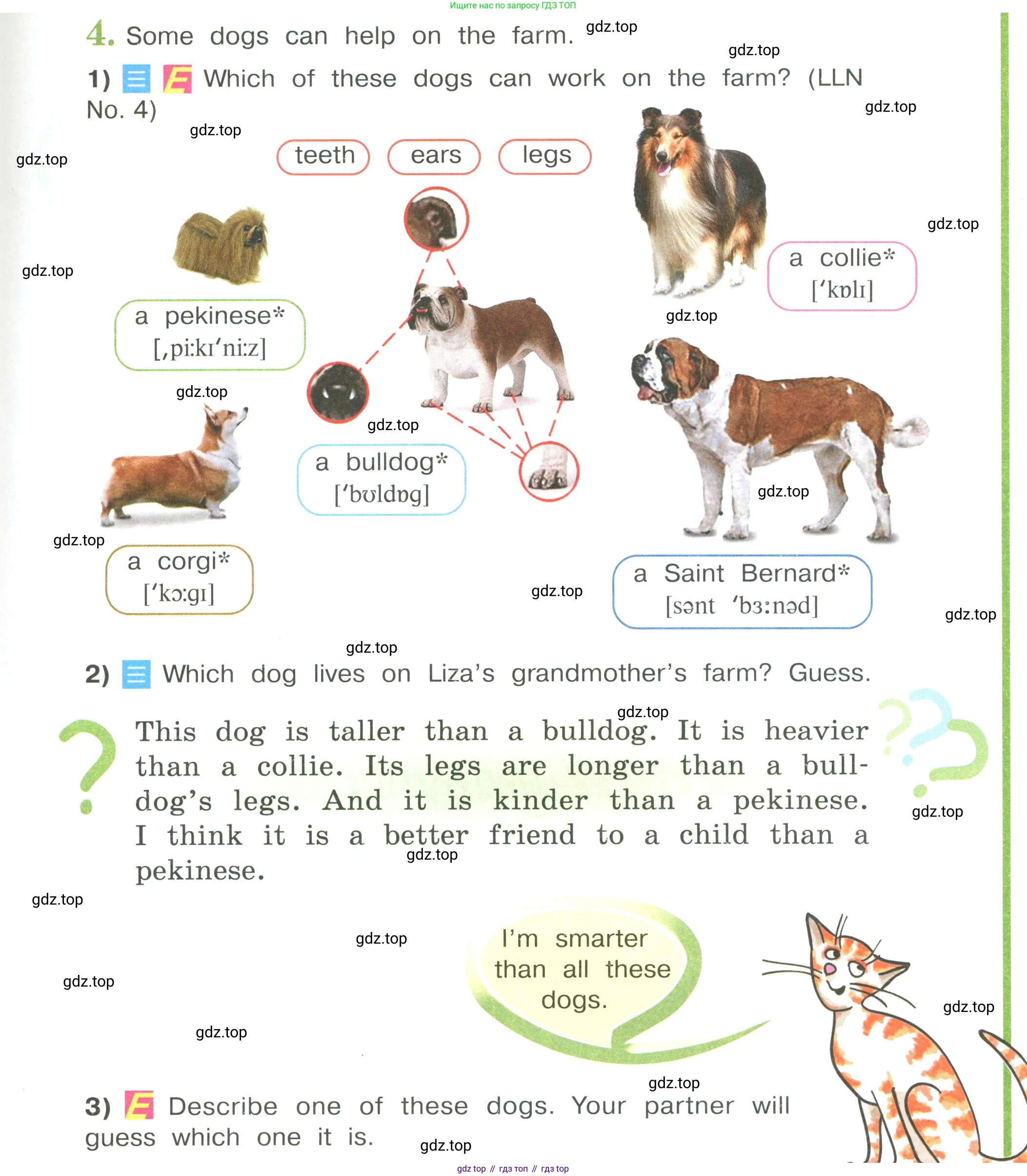 Английский язык (english), 4 класс Учебник (Student's book), авторы: Кузовлев Владимир Петрович (Kuzovlev Vladimir), Перегудова Эльвира Шакировна, Стрельникова Ольга Викторовна (Strelnikova Olga), Дуванова Ольга Викторовна, издательство Просвещение, Москва, 2019, красного цвета, Часть ( Part) 1, страница 25, номер 4, Условие