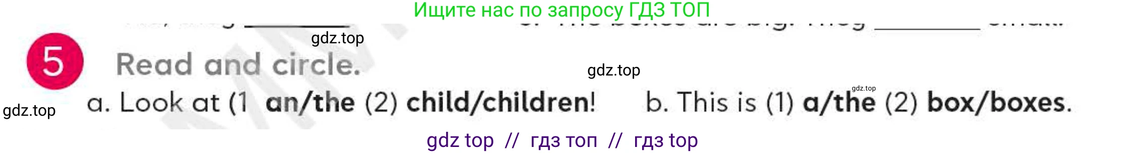Английский язык (english), 4 класс Учебник (Student's book), авторы: Митчелл Гарольд (Mitchell Harold), Малгогианни Марилени (Malkogianni Marileni), Василиу Константина (Vasileiou Konstantina), издательство MM Publications, Алматы, 2024, голубого цвета, страница 21, номер 5, Условие