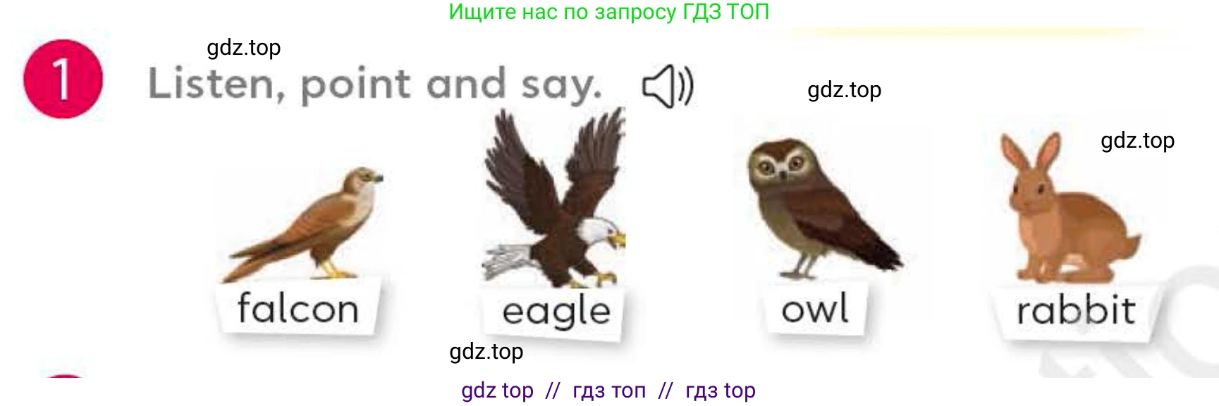 Английский язык (english), 4 класс Учебник (Student's book), авторы: Митчелл Гарольд (Mitchell Harold), Малгогианни Марилени (Malkogianni Marileni), Василиу Константина (Vasileiou Konstantina), издательство MM Publications, Алматы, 2024, голубого цвета, страница 66, номер 1, Условие