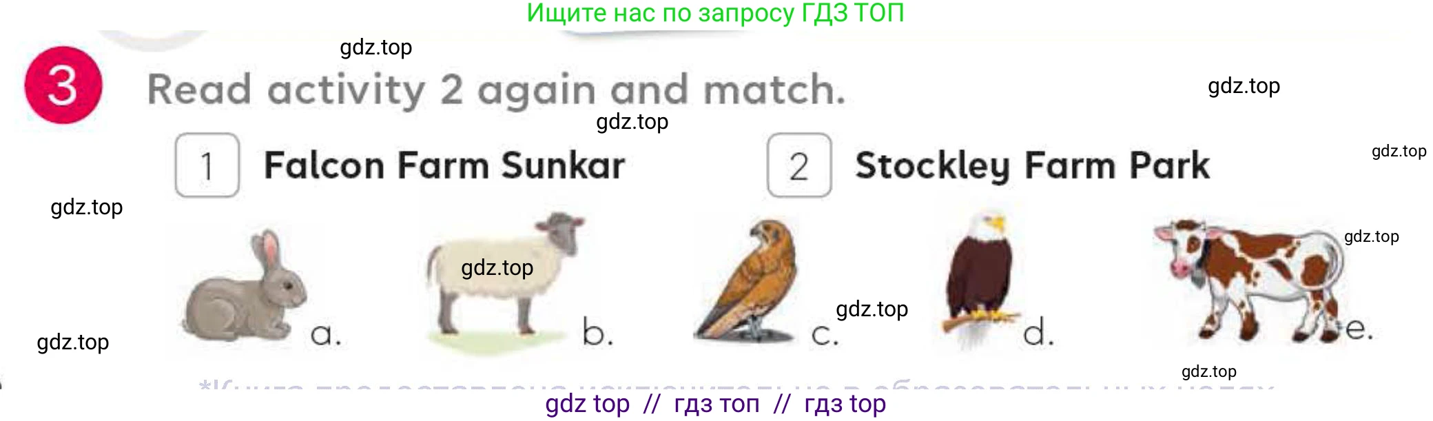 Английский язык (english), 4 класс Учебник (Student's book), авторы: Митчелл Гарольд (Mitchell Harold), Малгогианни Марилени (Malkogianni Marileni), Василиу Константина (Vasileiou Konstantina), издательство MM Publications, Алматы, 2024, голубого цвета, страница 66, номер 3, Условие